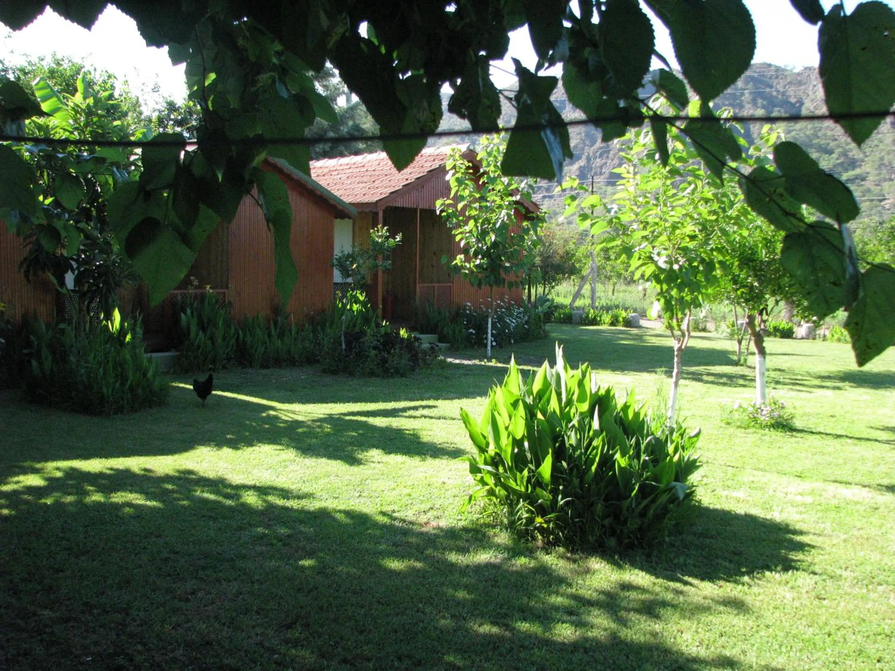 Garden in Alibaba Pension