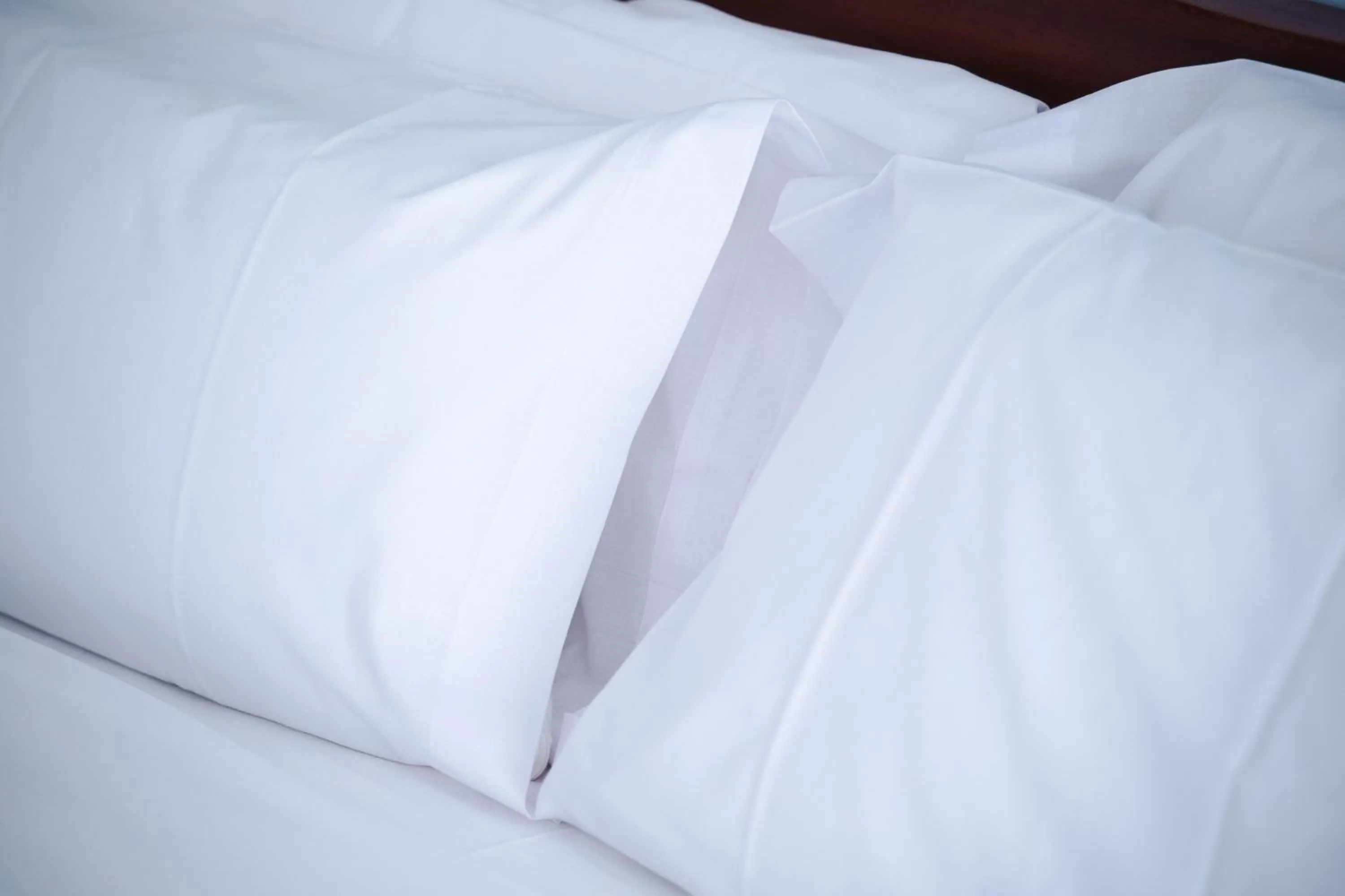 Bedroom, Bed in Hotel Plaça