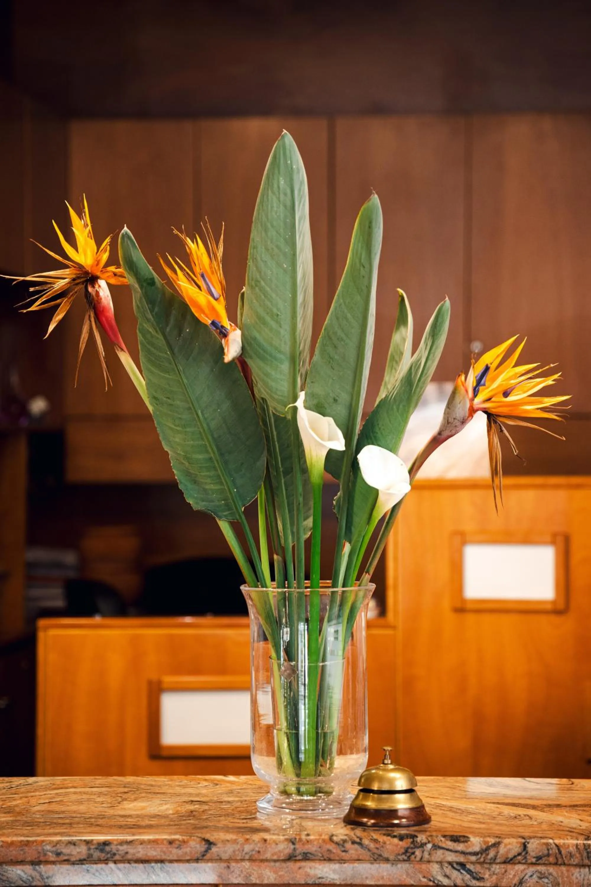 Lobby or reception in Hotel Plaça