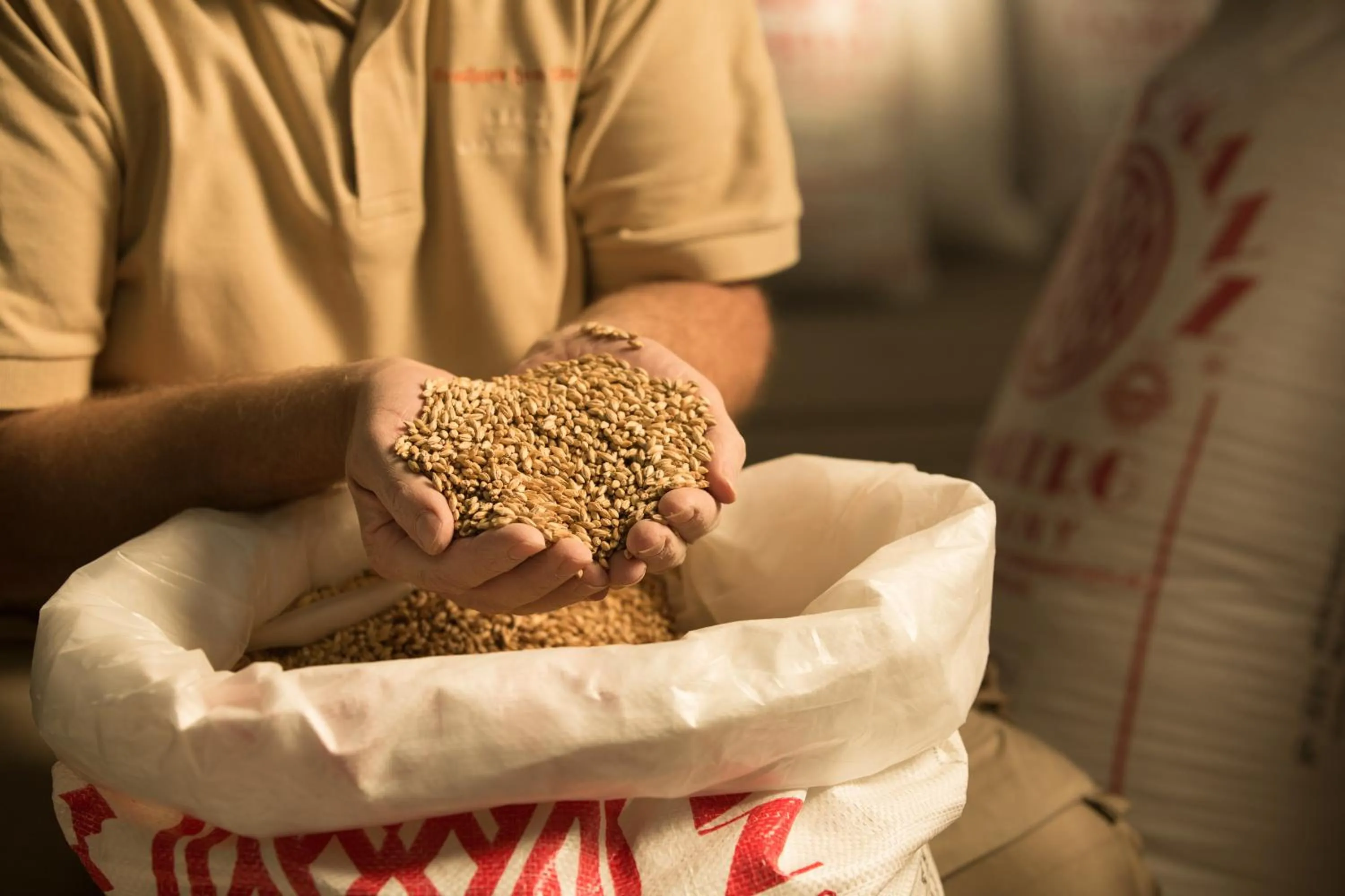 Area and facilities in Brauhaus Zum Löwen