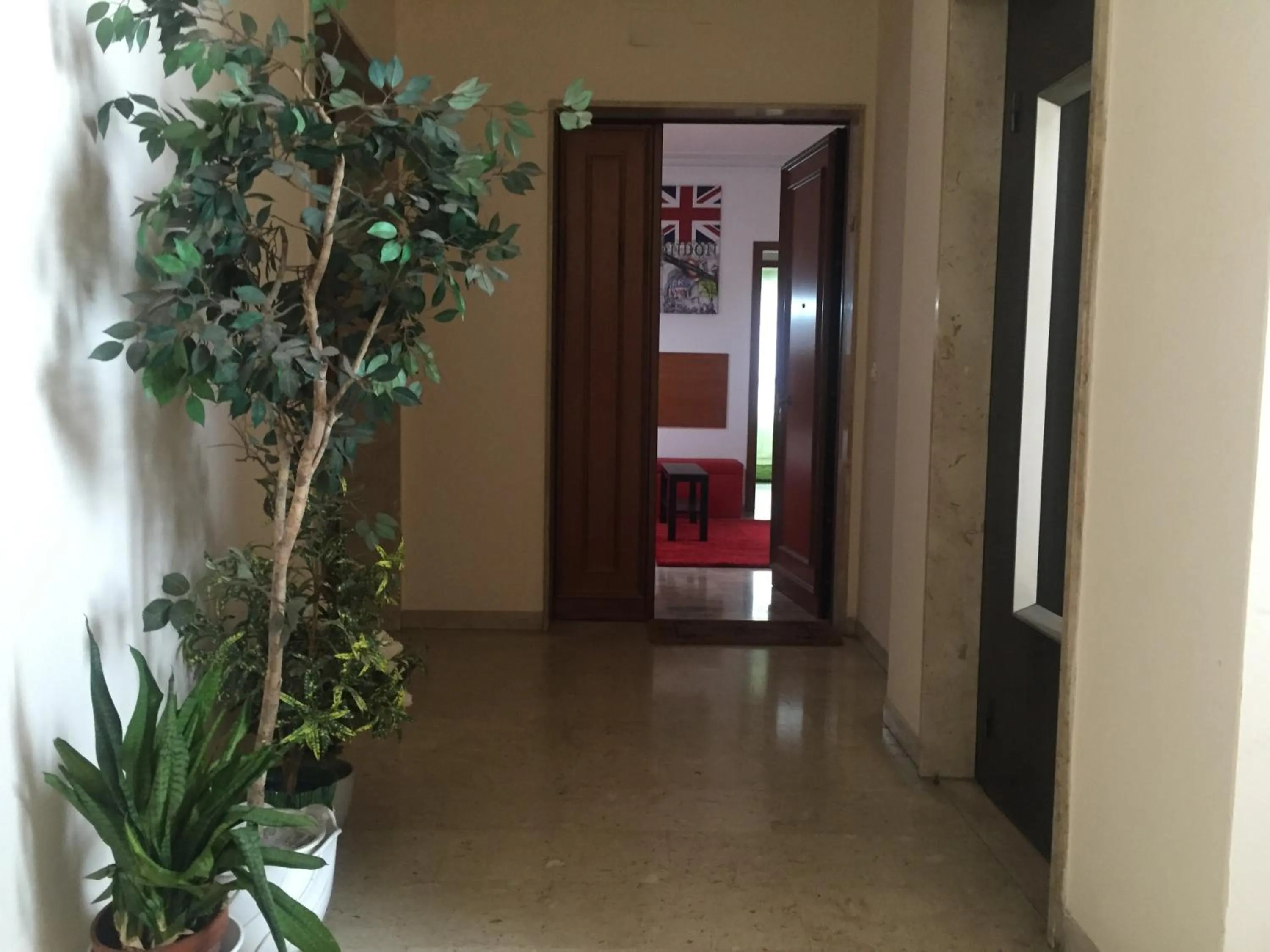 Other in Venice Dream