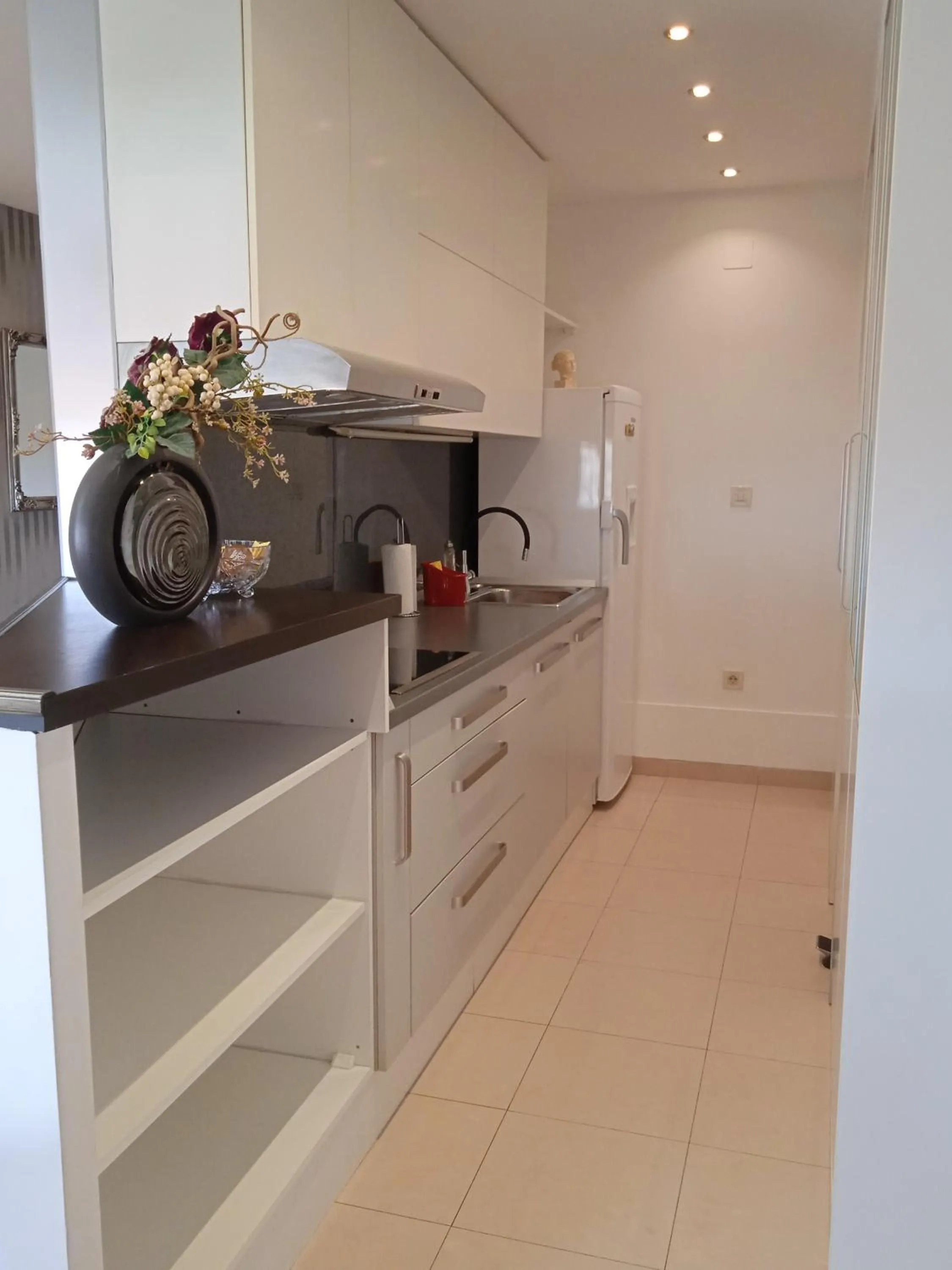 Kitchen or kitchenette in Dreams Apartment Bacvice