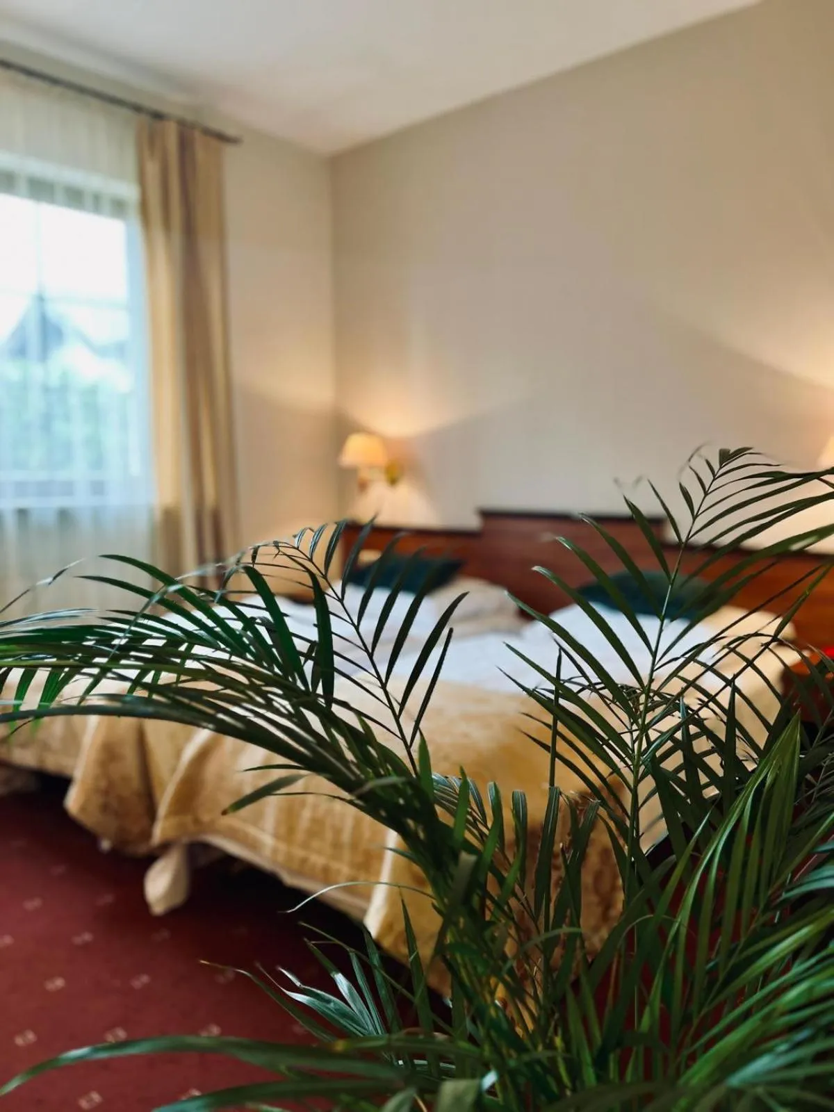 Bed in Gościniec Sucholeski