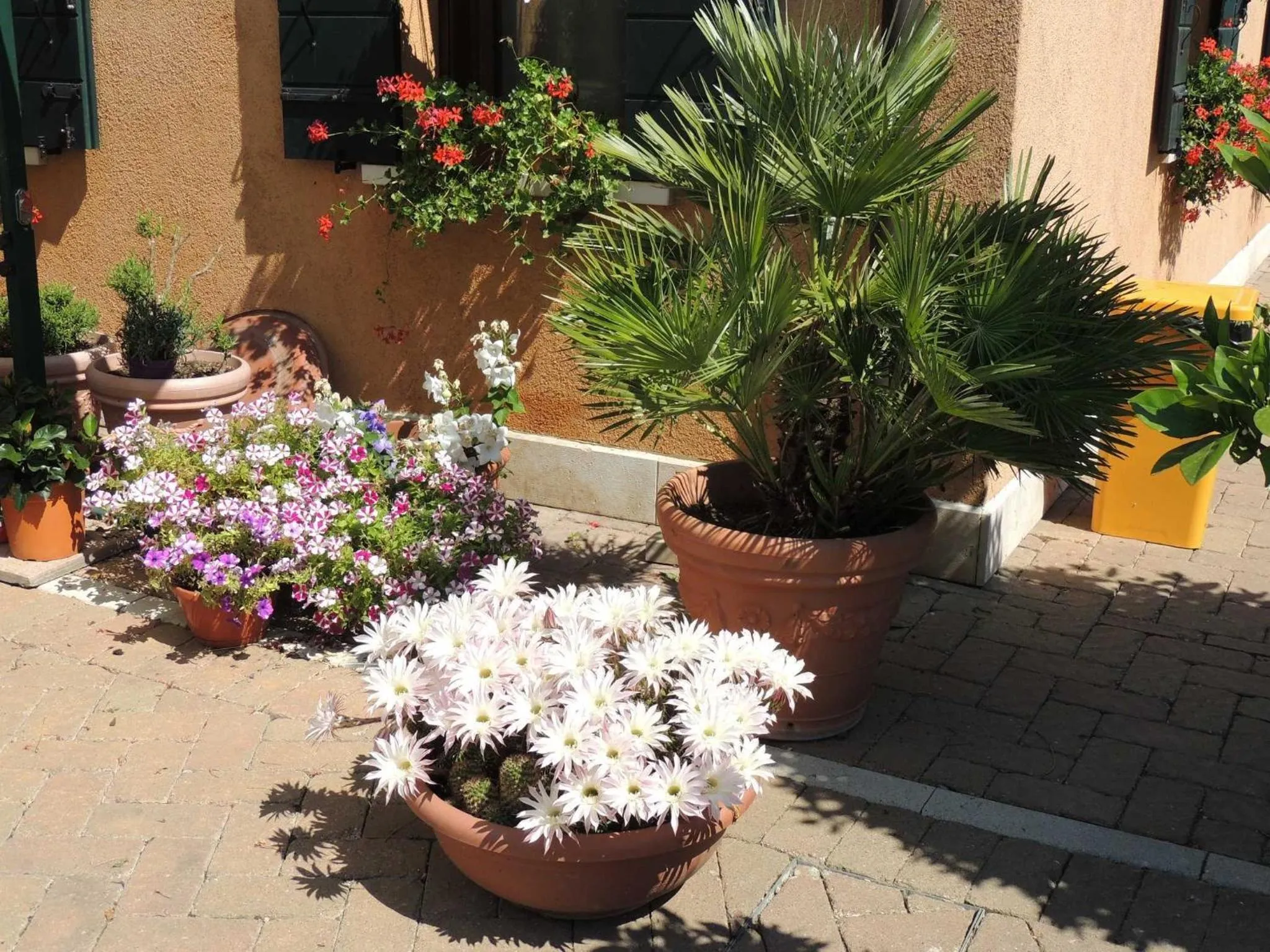 Spring in Country House Country Club