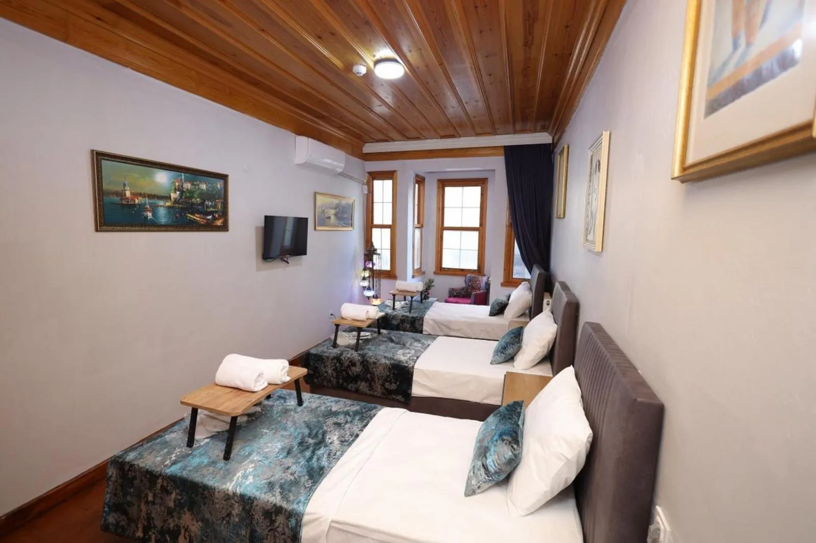 TV and multimedia in The Trip istanbul Hotel