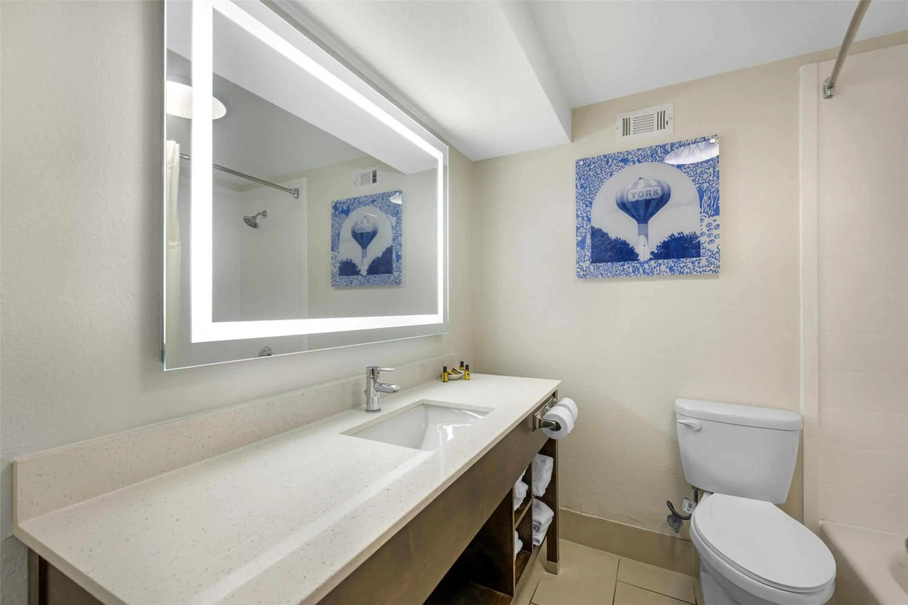 Bathroom in Best Western Plus York Hotel and Conference Center