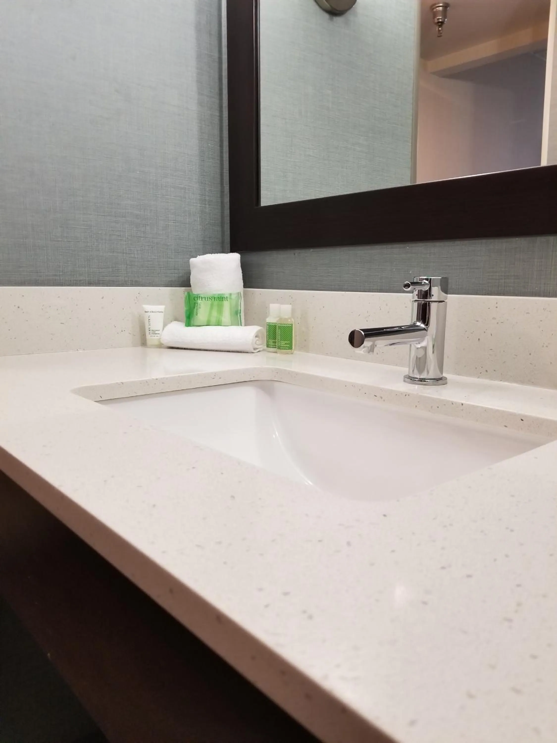 Bathroom in Holiday Inn Youngstown-South - Boardman by IHG