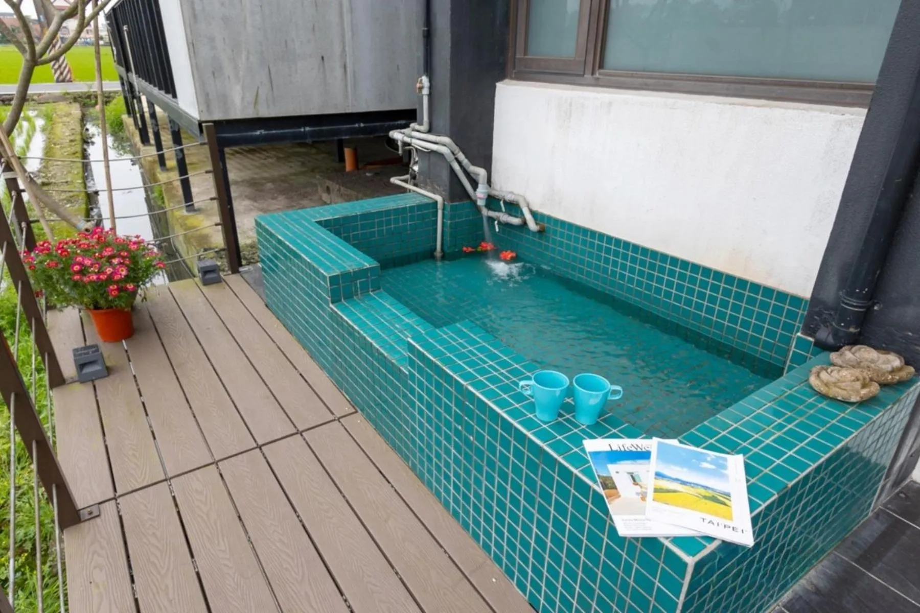 Swimming pool in Hi Zebra Travel B&B