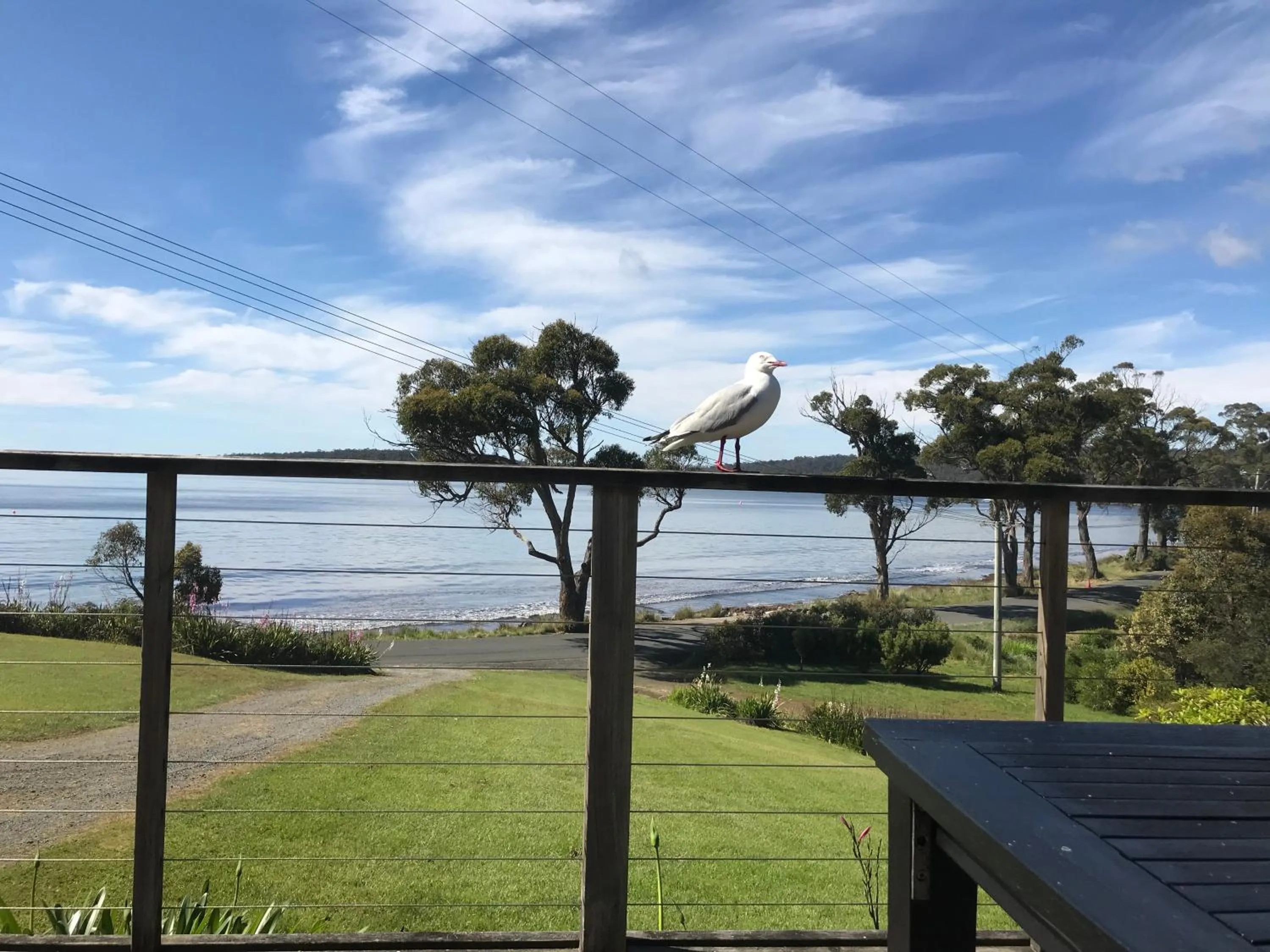 Sea view in Summertime Cottage