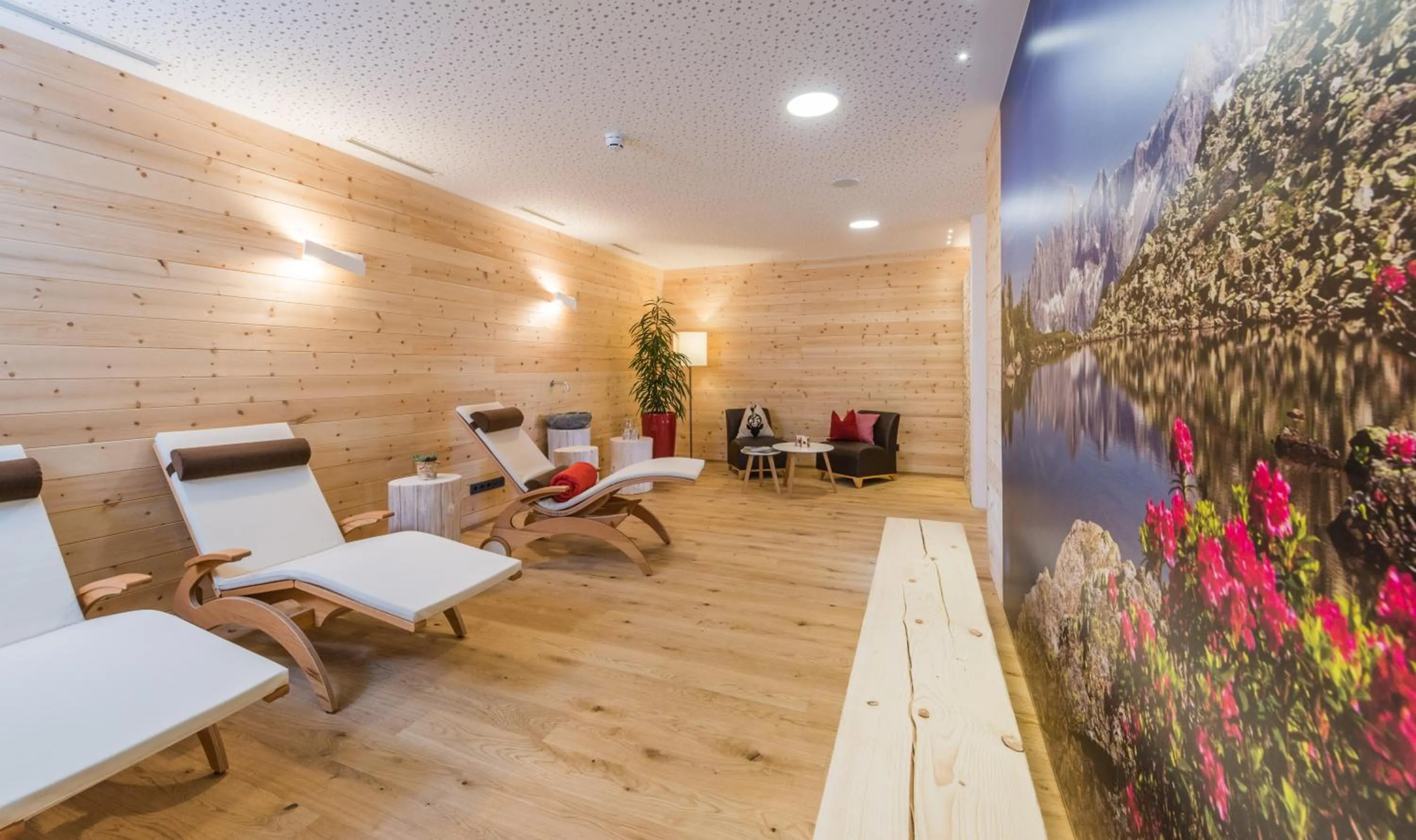 Spa and wellness centre/facilities in Rittis Alpin Chalets Dachstein