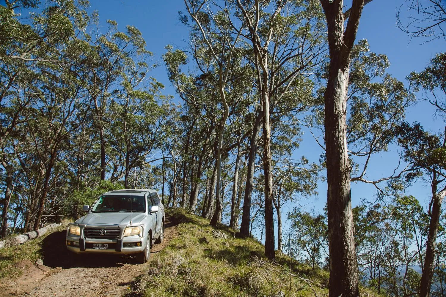 Natural landscape in Spicers Peak Lodge