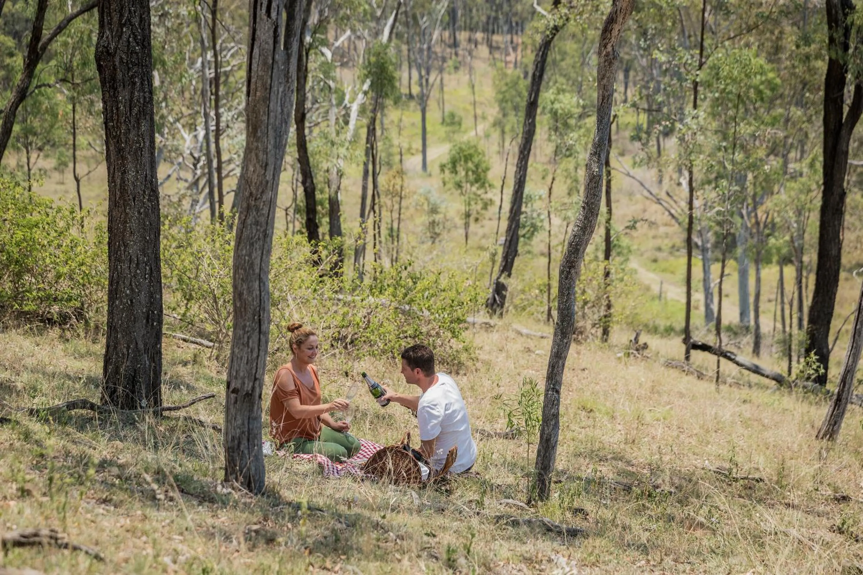 Activities in Spicers Hidden Vale