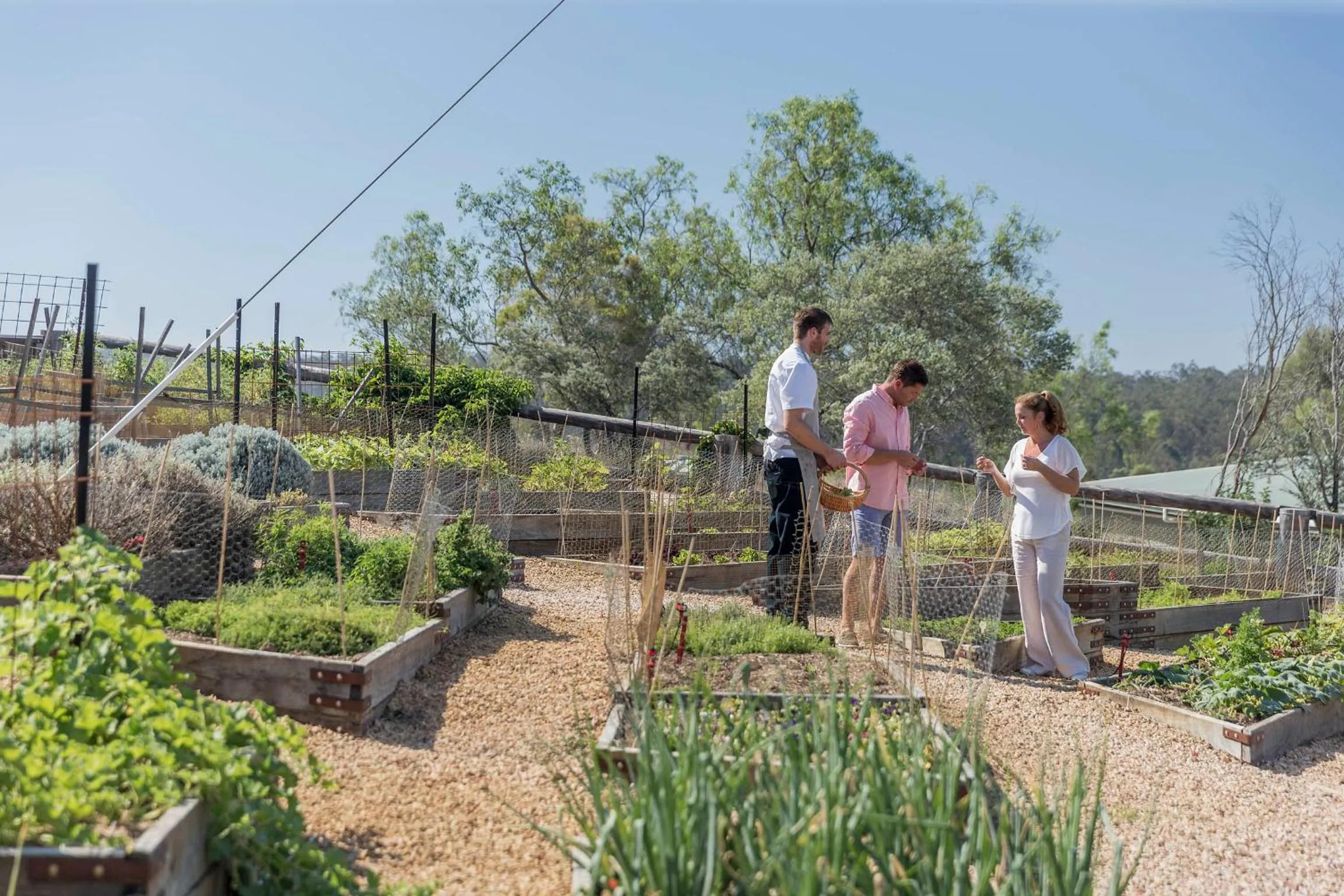 Garden in Spicers Hidden Vale