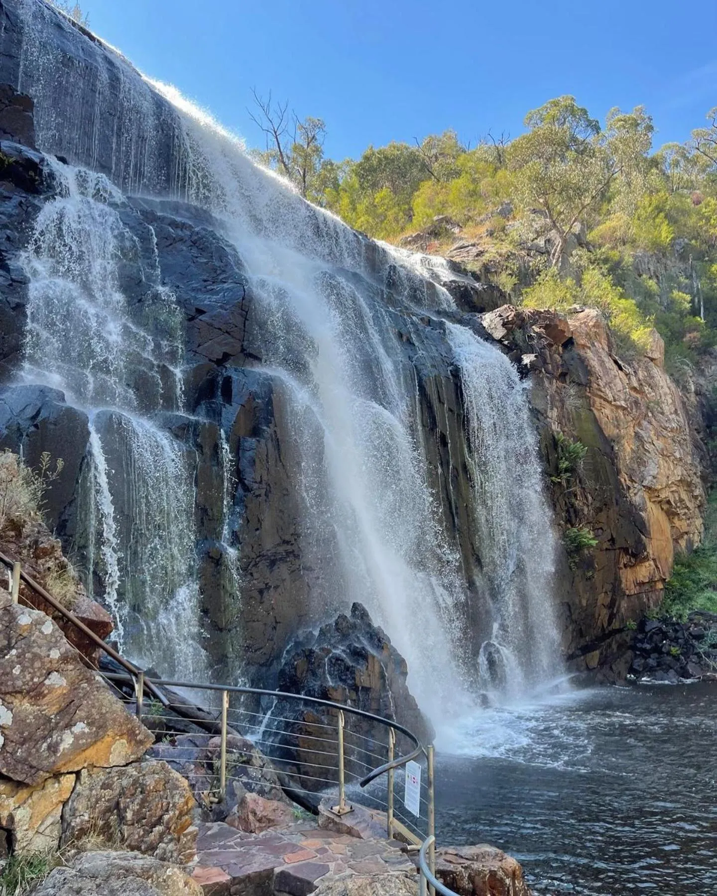 Natural landscape in Meringa Springs