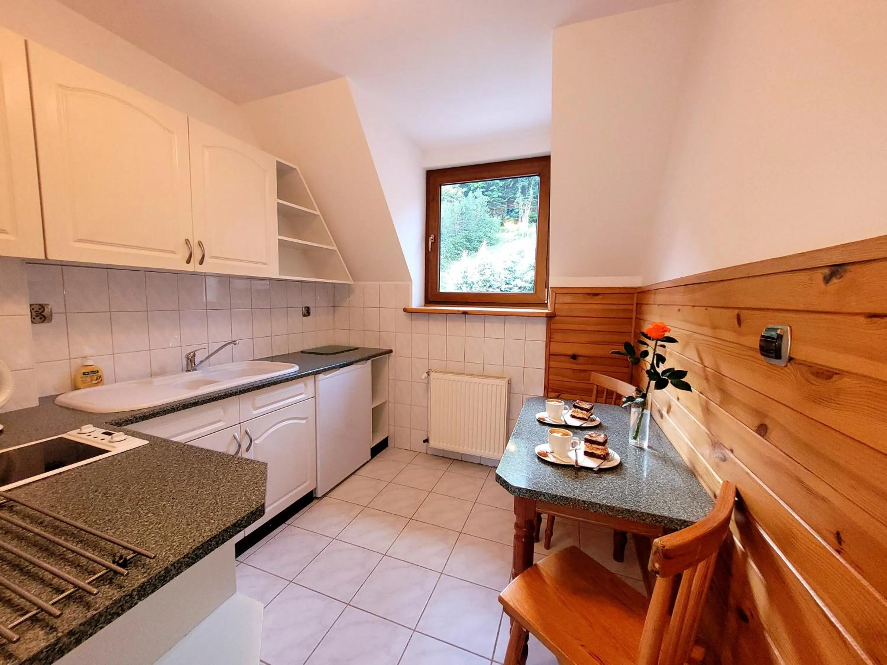 Kitchen or kitchenette in Rezydencja Leśny Dwór