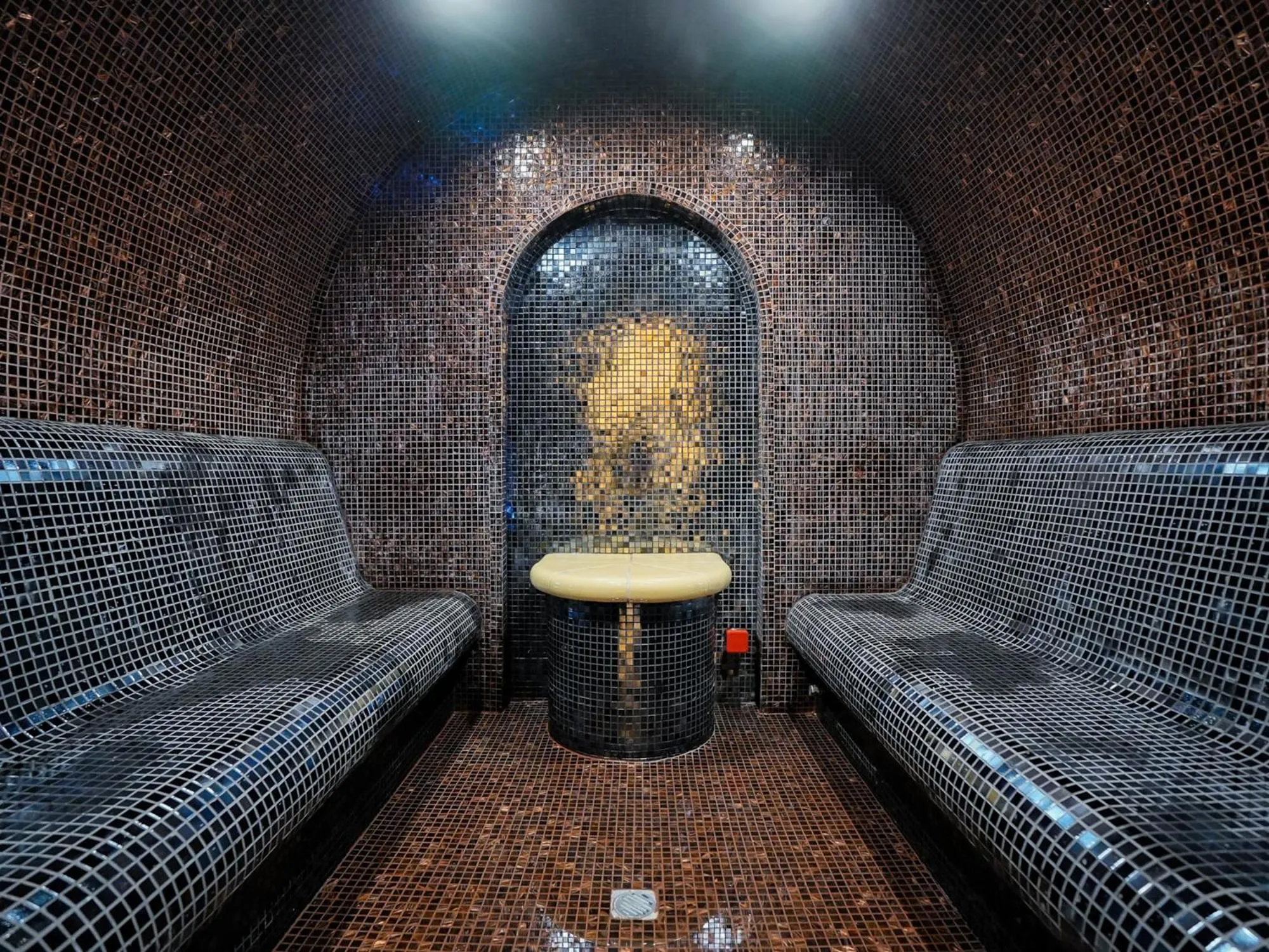 Premier Luxury Mountain Resort