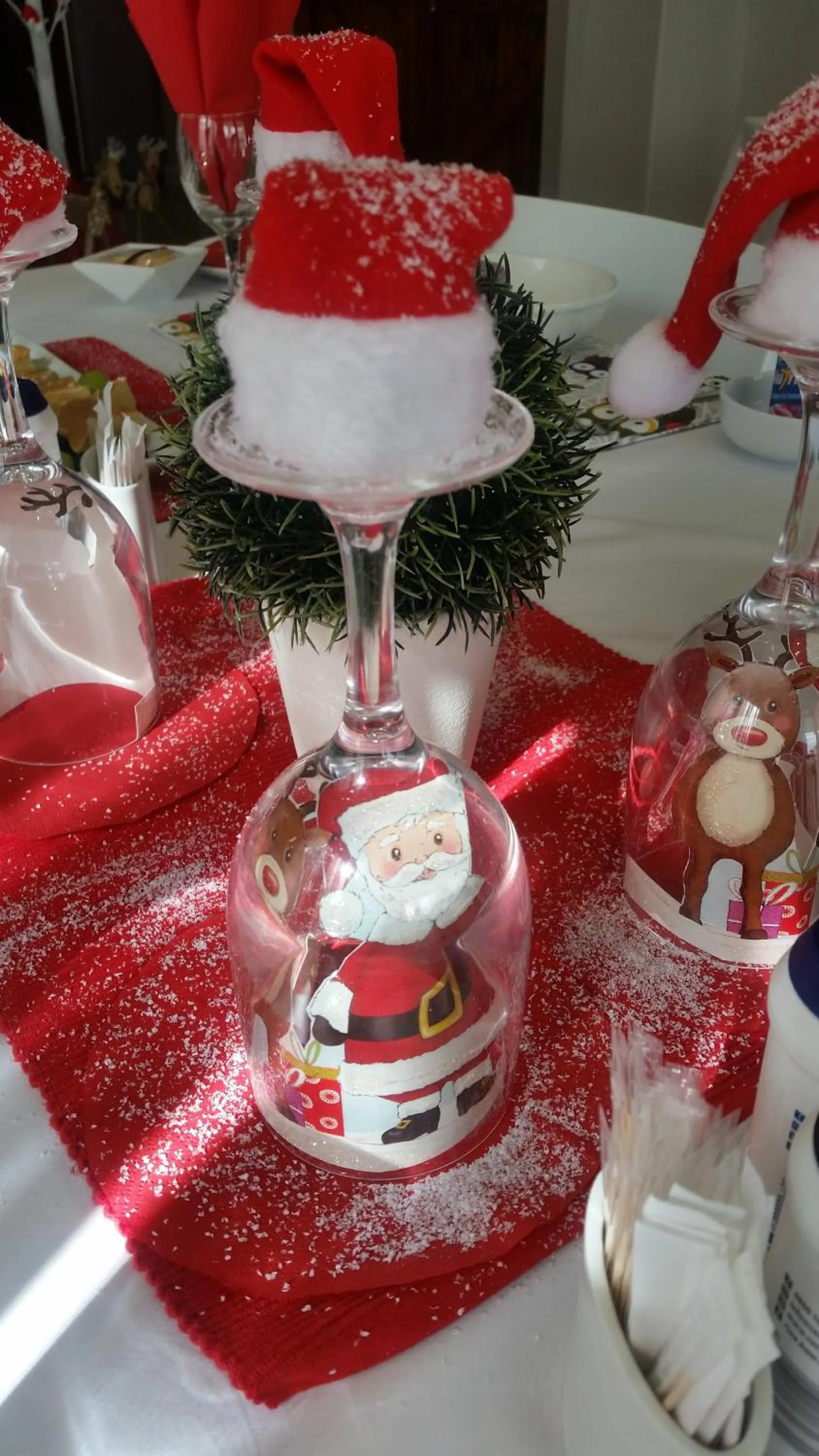 Summer in Two Fat Owls Guesthouse