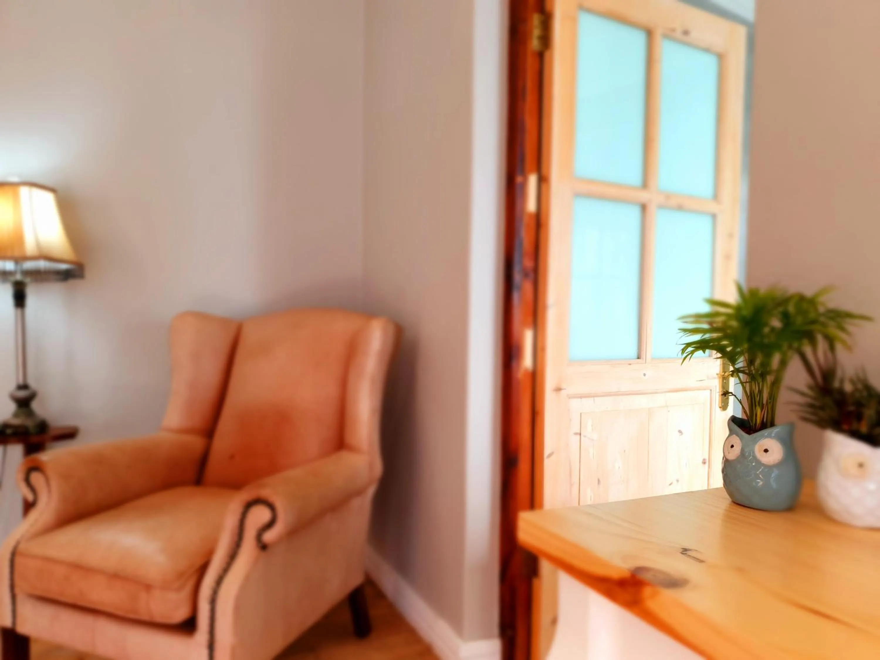 Seating area in Two Fat Owls Guesthouse