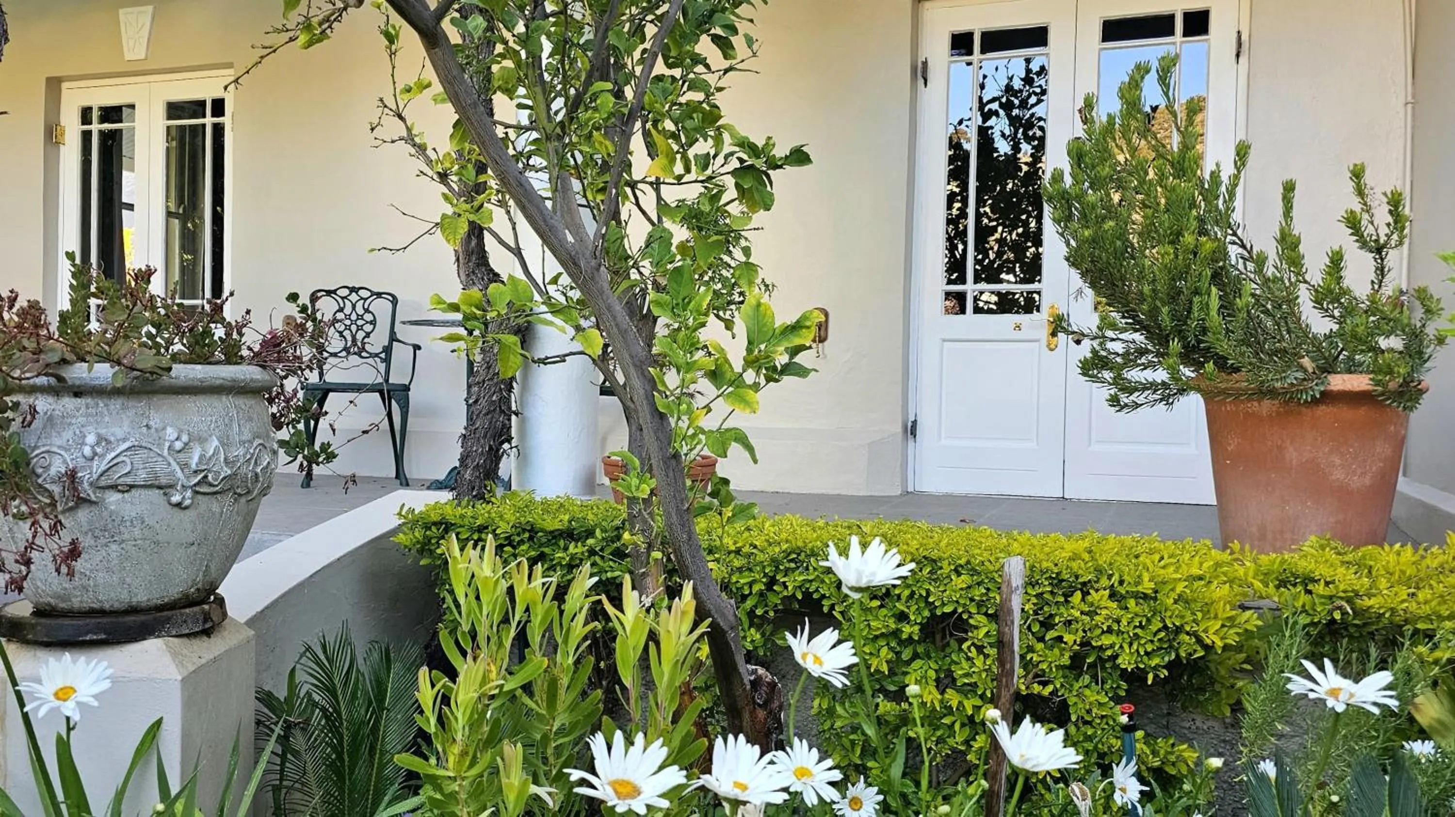 Balcony/Terrace in Montagu Vines Guesthouse