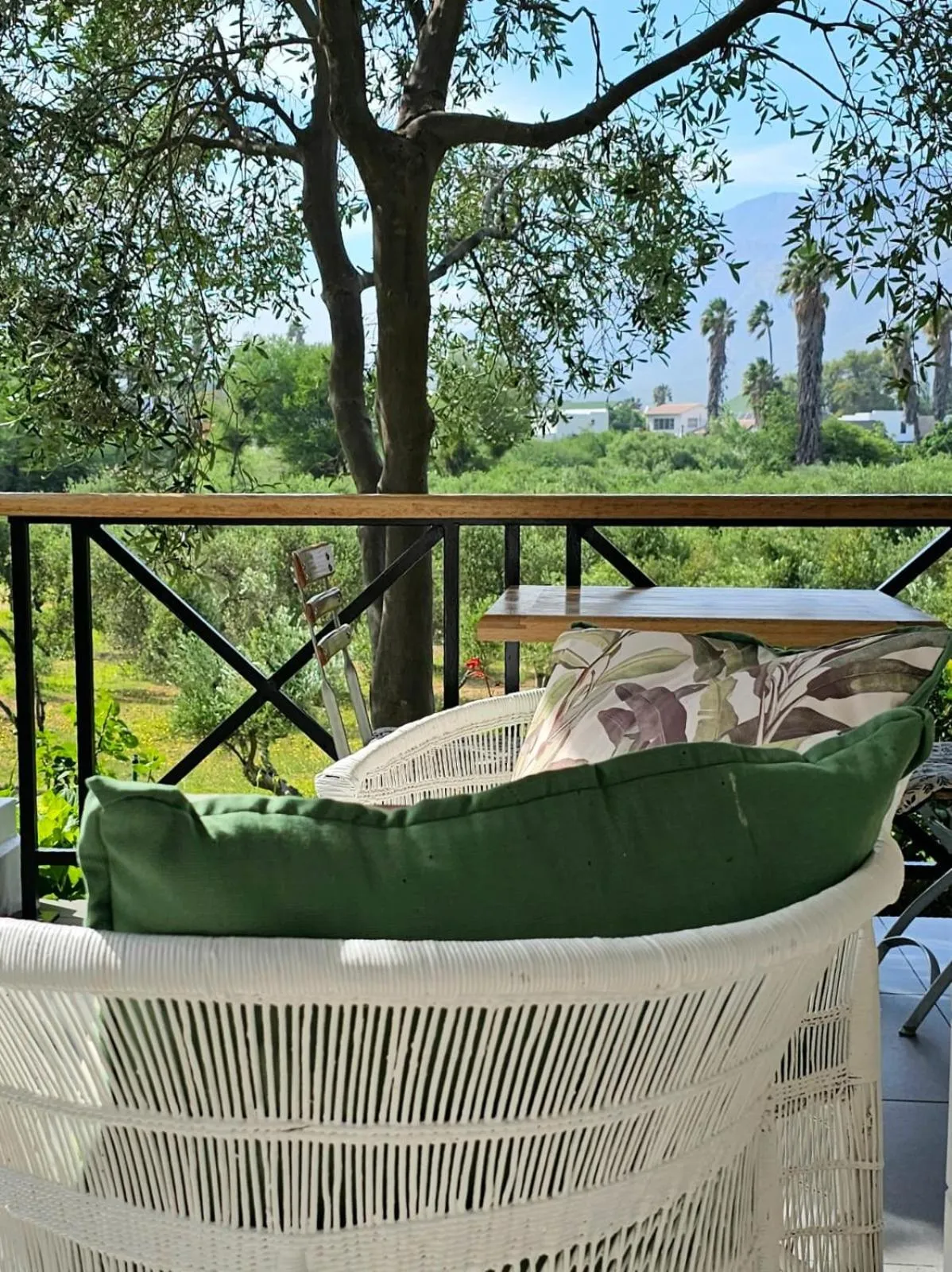 Patio in Montagu Vines Guesthouse