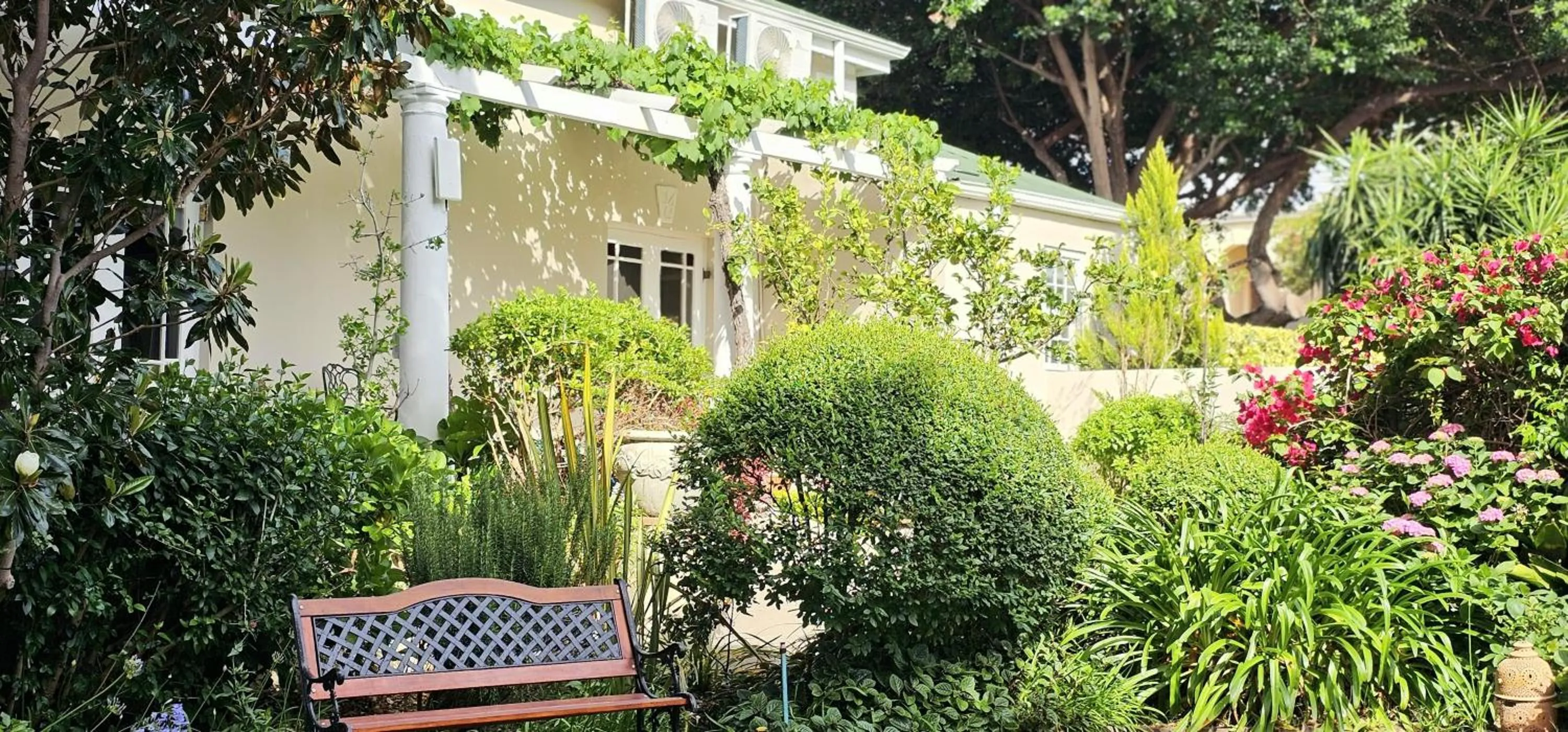 Garden in Montagu Vines Guesthouse