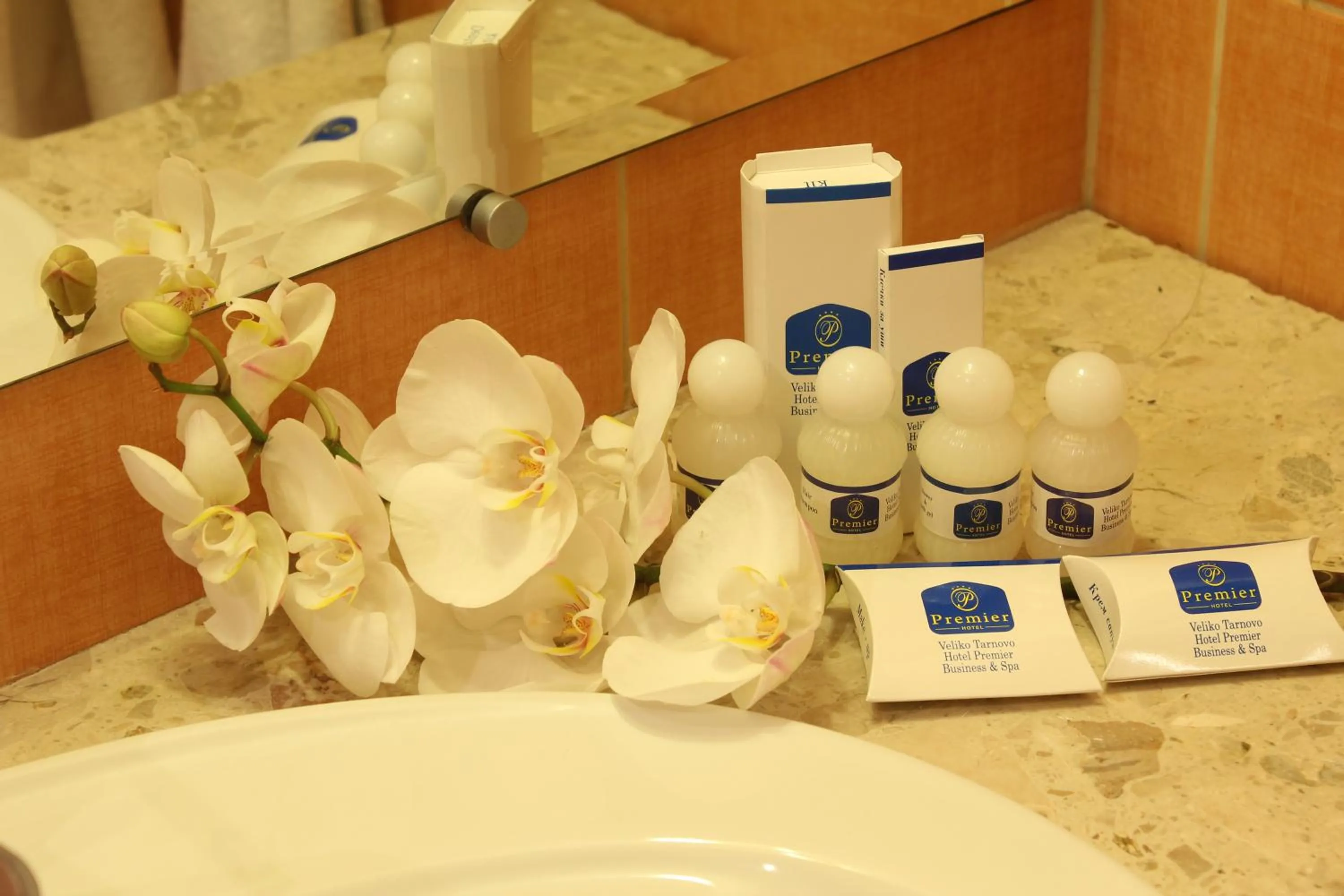 Bathroom in Hotel Premier - Veliko Tarnovo City Center, Panorama View