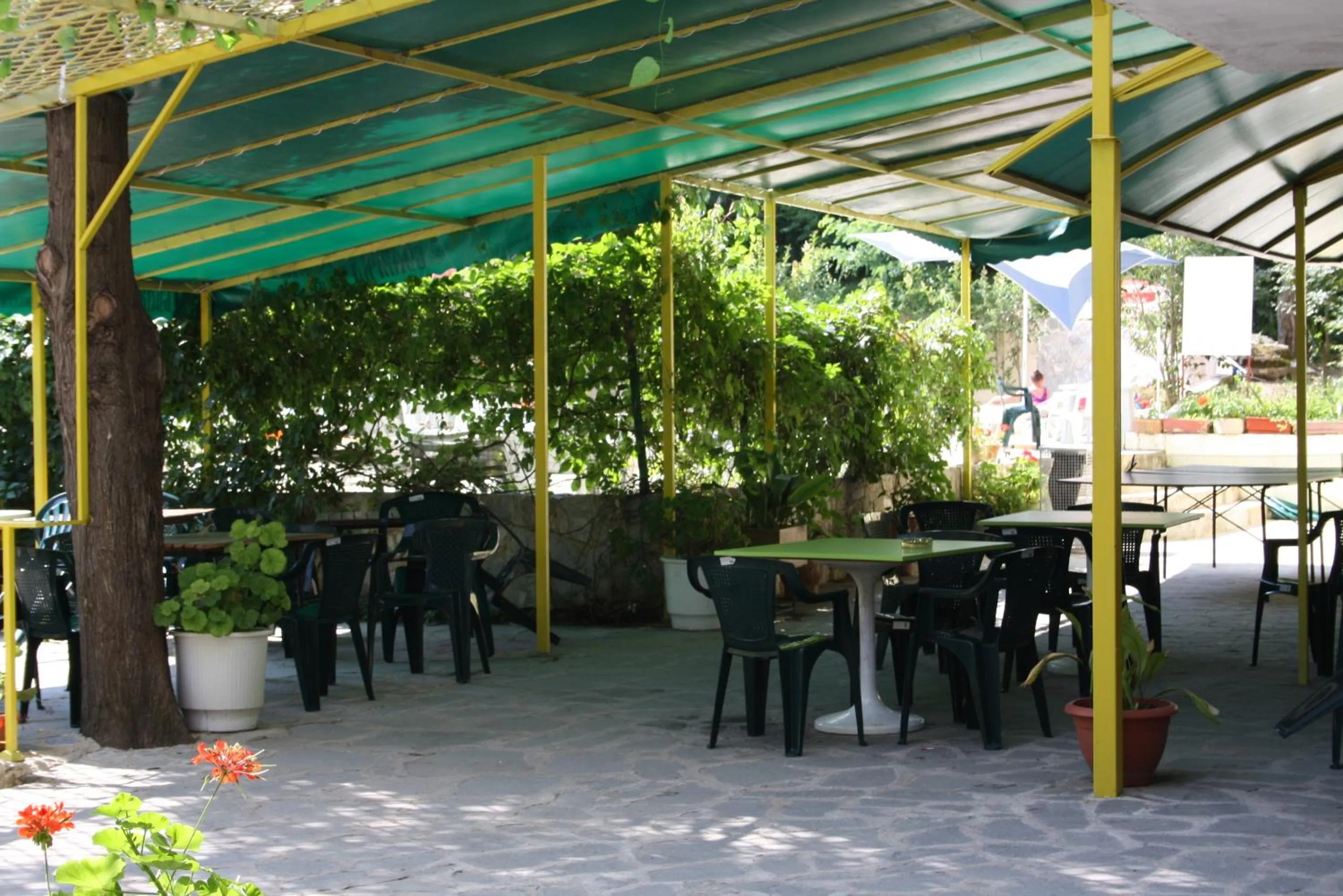 Patio in Sunny Varshava Hotel
