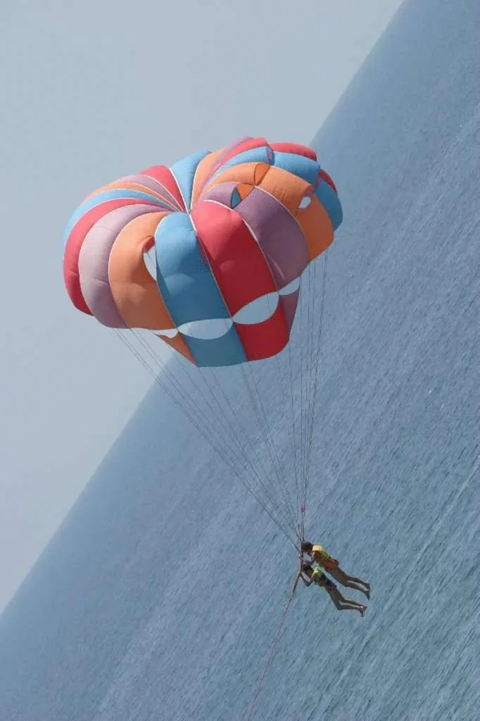 Activities in Hotel Magnolia