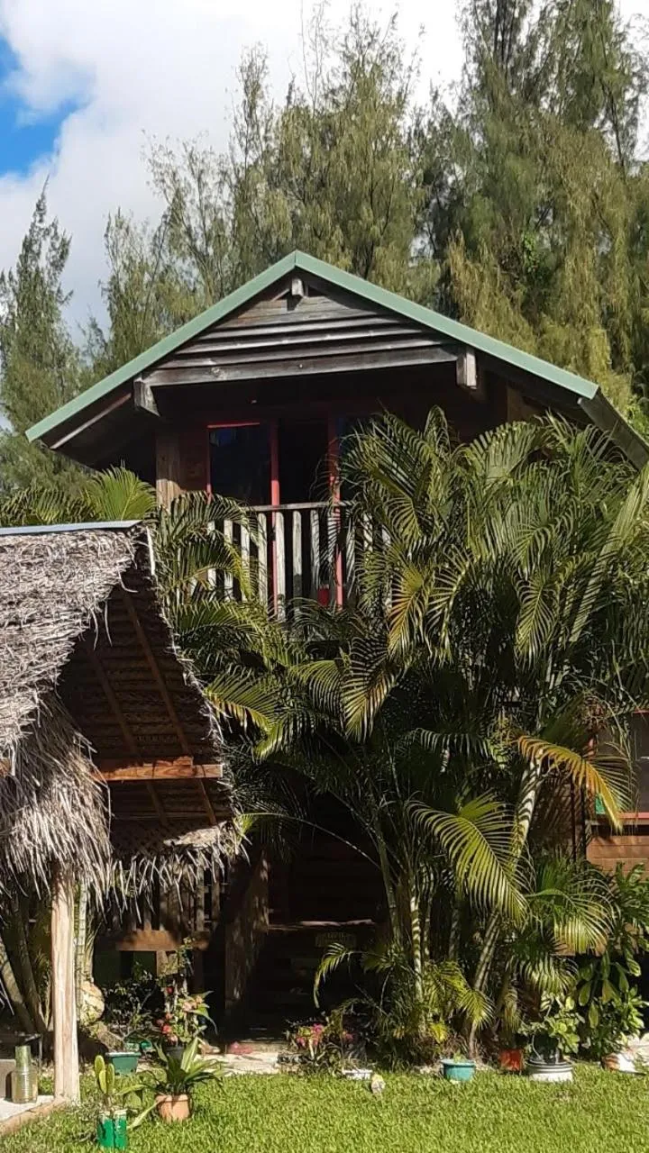 B & Bee Wild Island - Nature Song