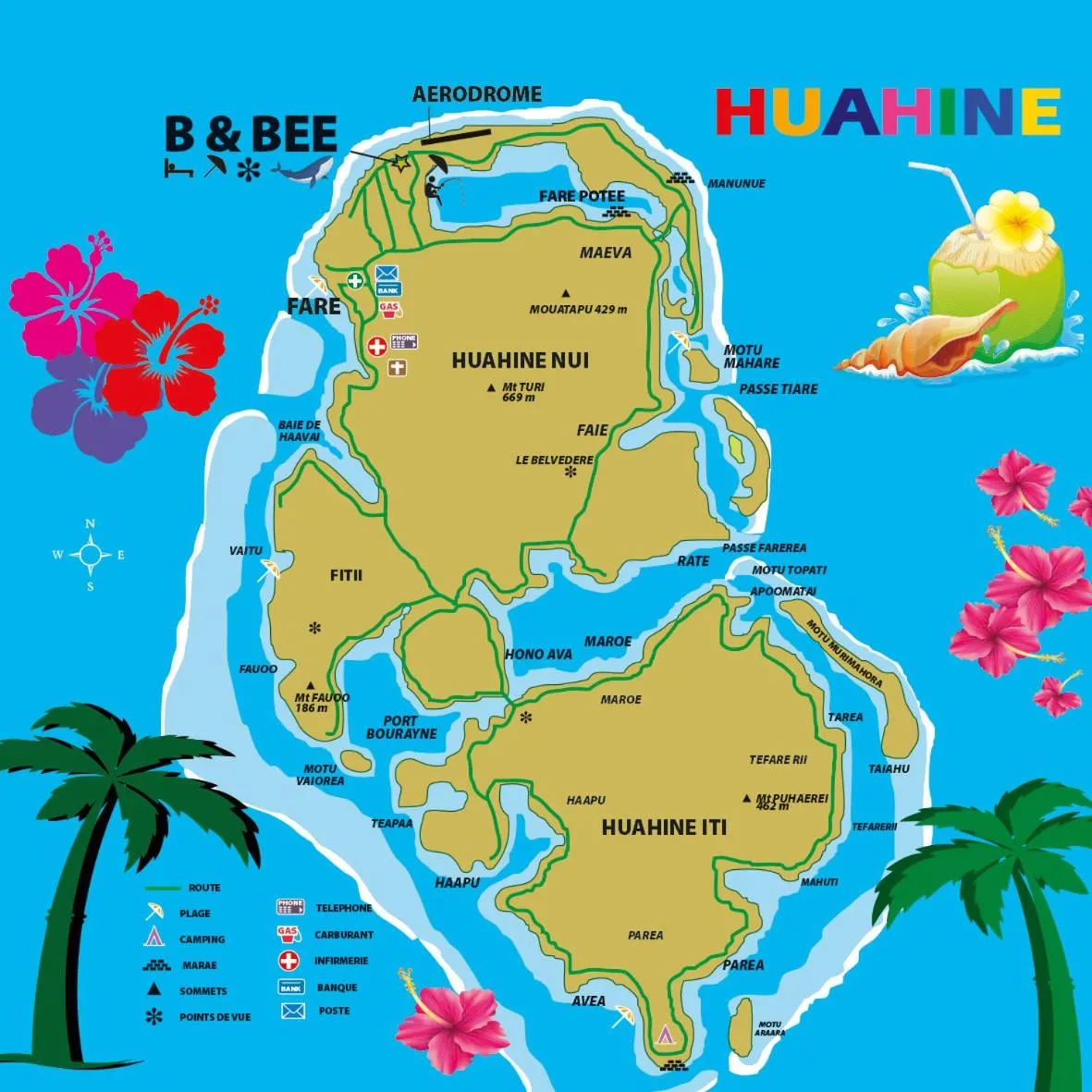 B & Bee Wild Island - Nature Song