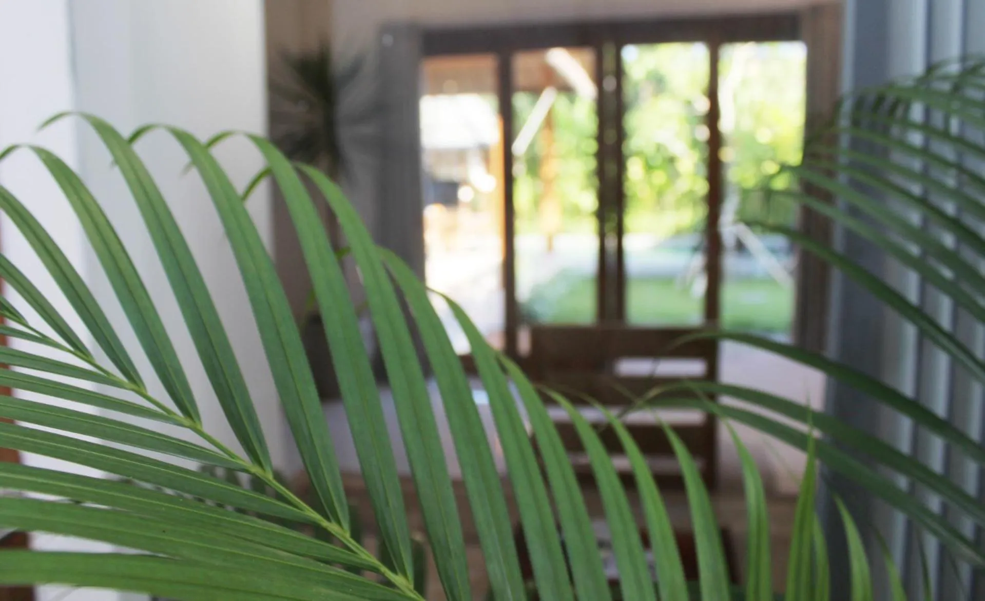 Garden view in Villa Kim Seminyak