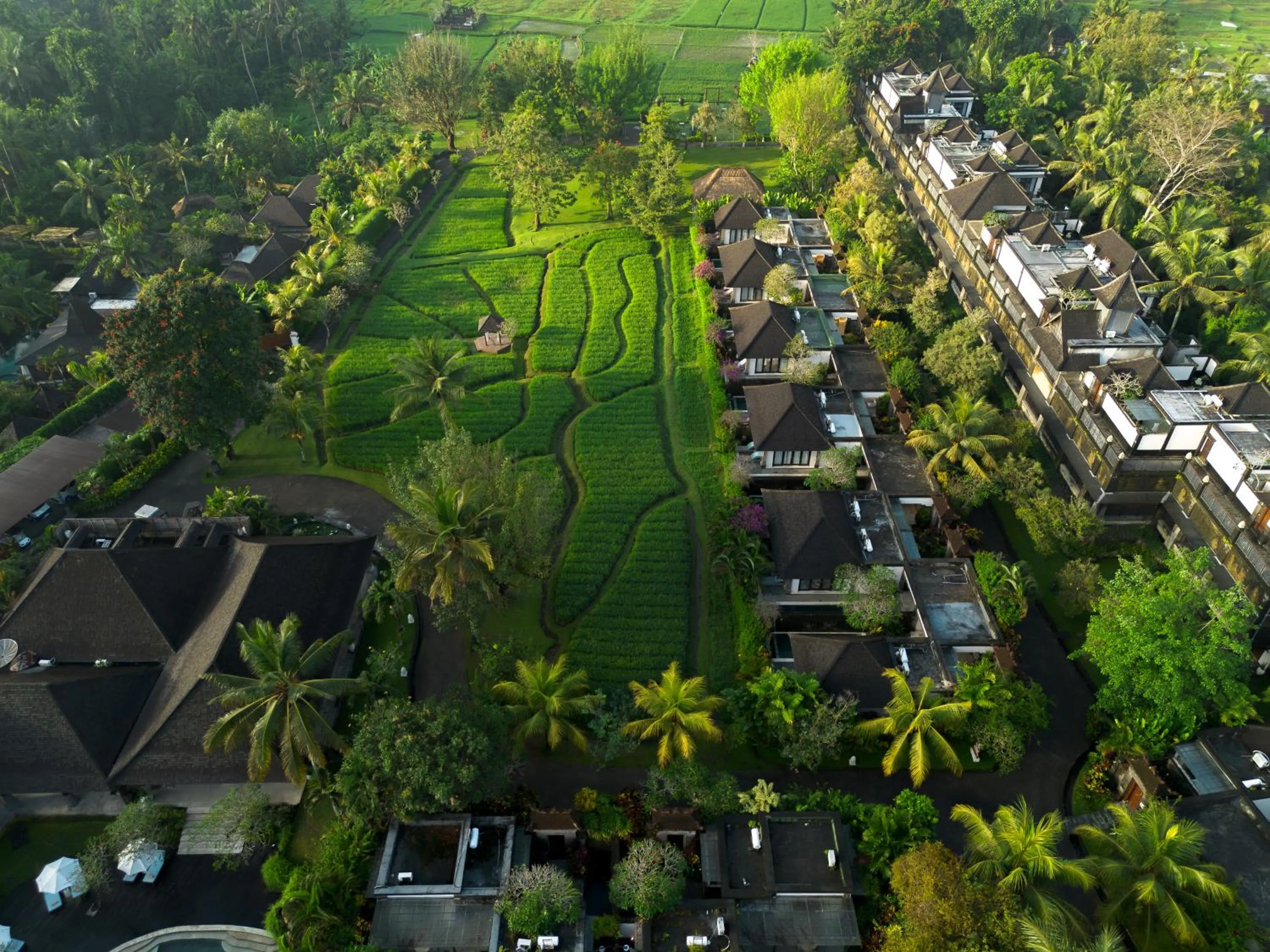 Property building in Visesa Ubud Resort