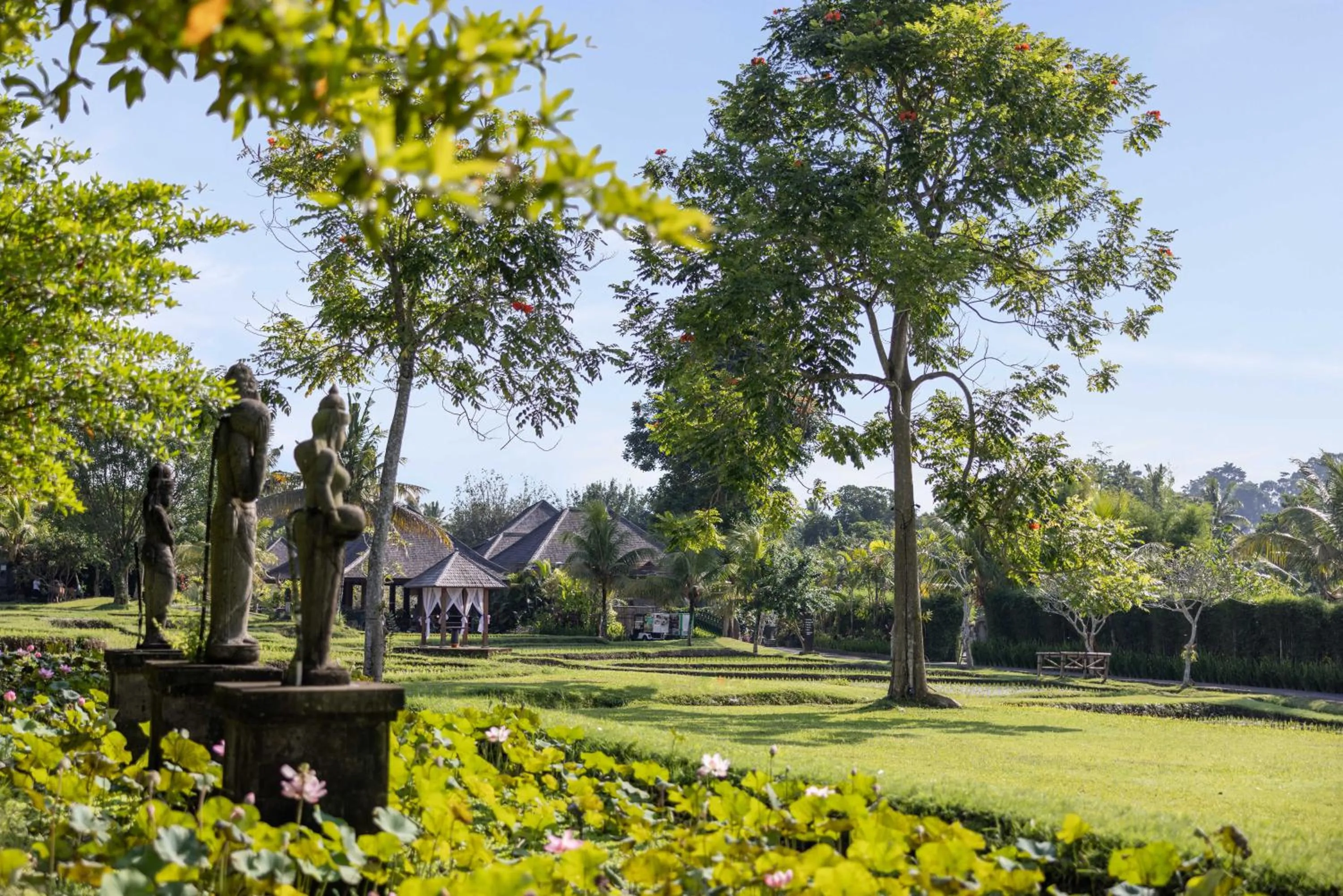 Spring in Visesa Ubud Resort