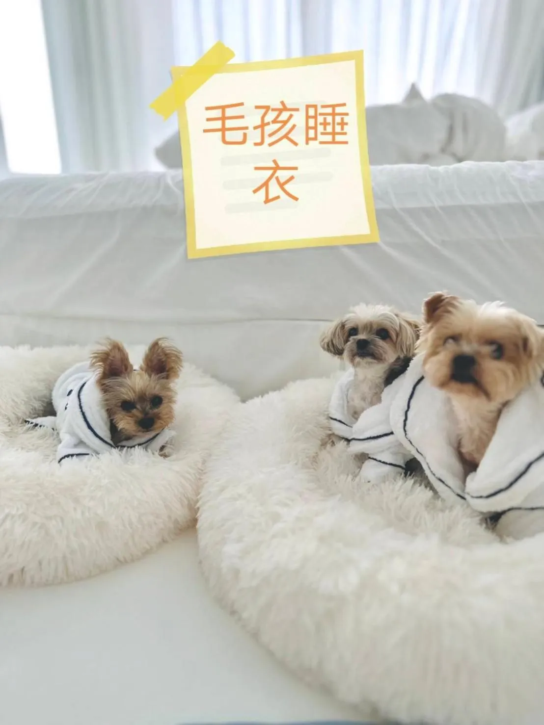 Bed in Ample Villa 小希臘