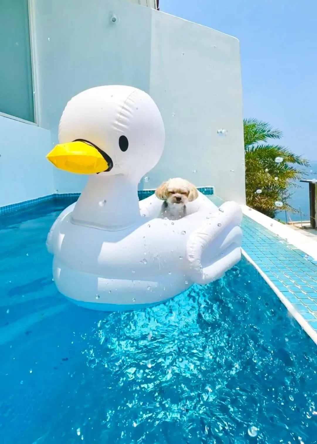 Ample Villa 小希臘