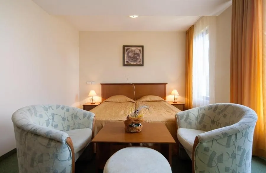 Photo of the whole room in Hotel Panorama