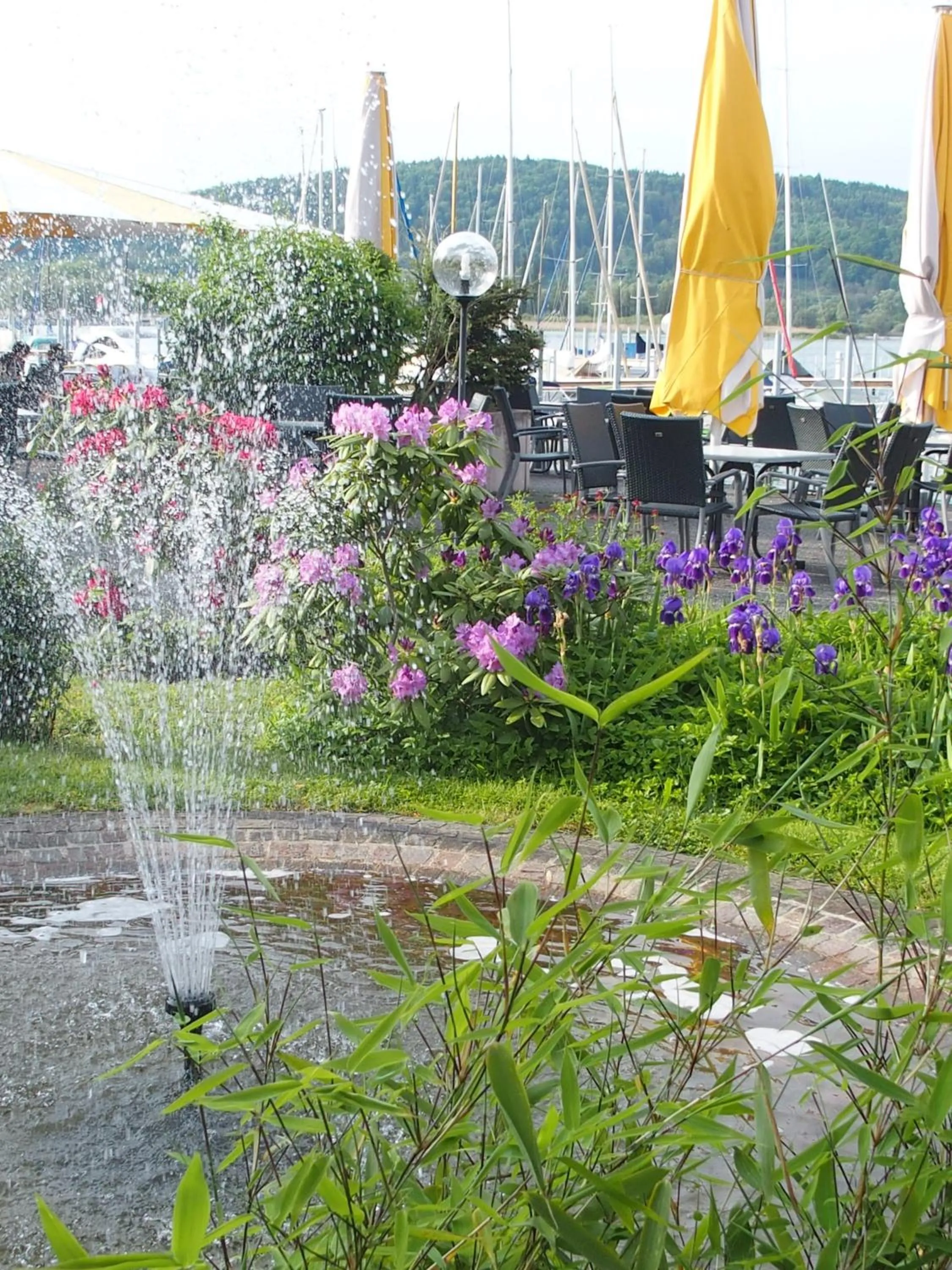 Garden in Hotel Pension Café Hasler