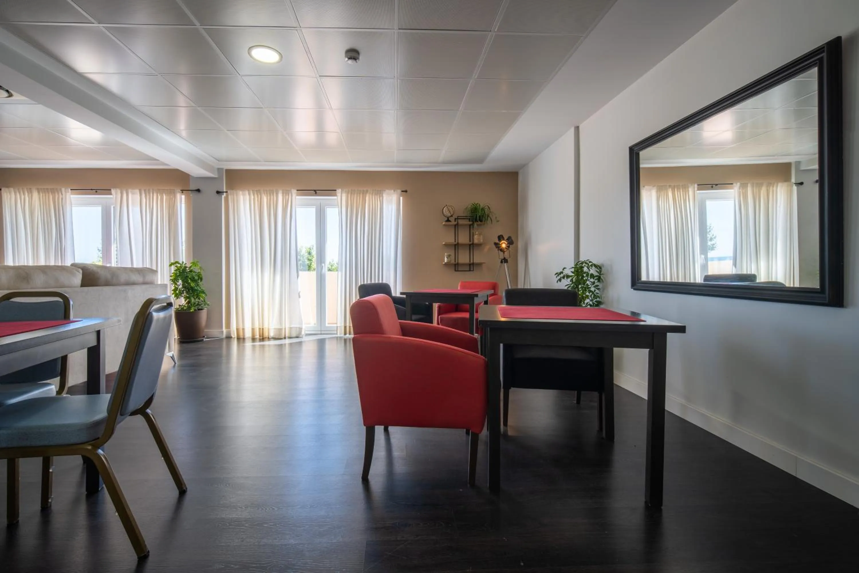 TV and multimedia in Pato Rojo