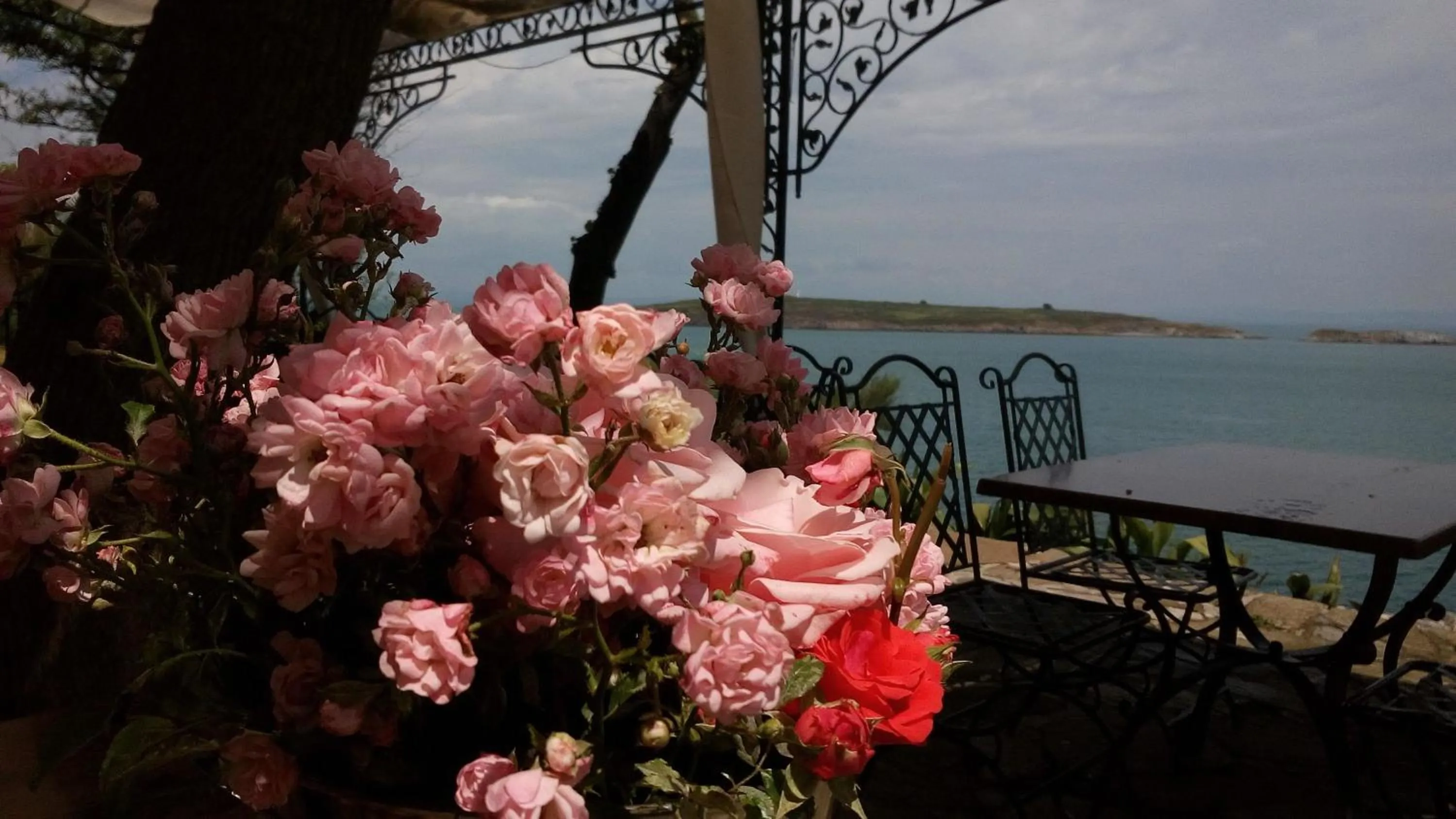 Restaurant/places to eat, Balcony/Terrace in hotel DIAMANTI