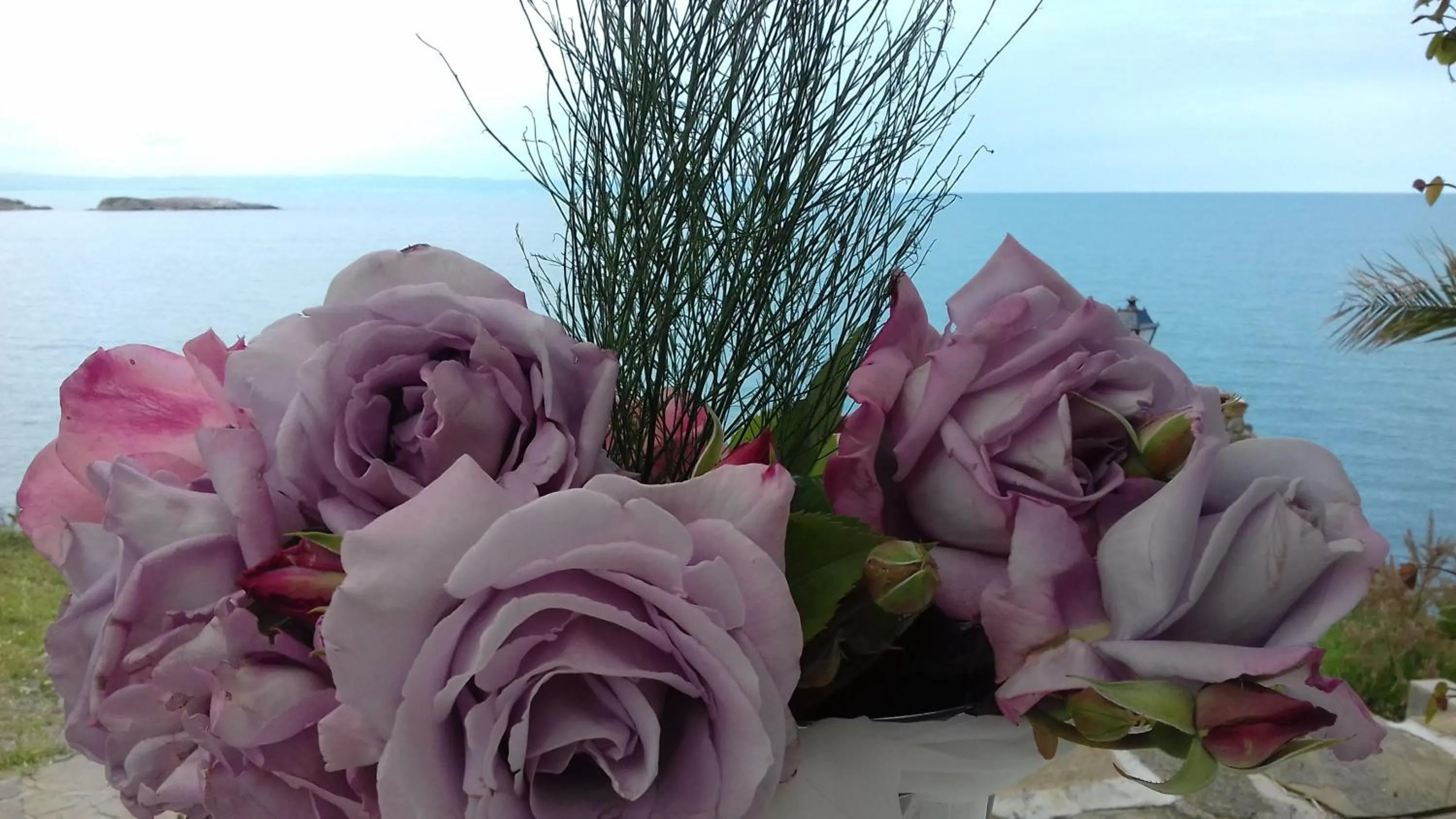 Sea view in hotel DIAMANTI