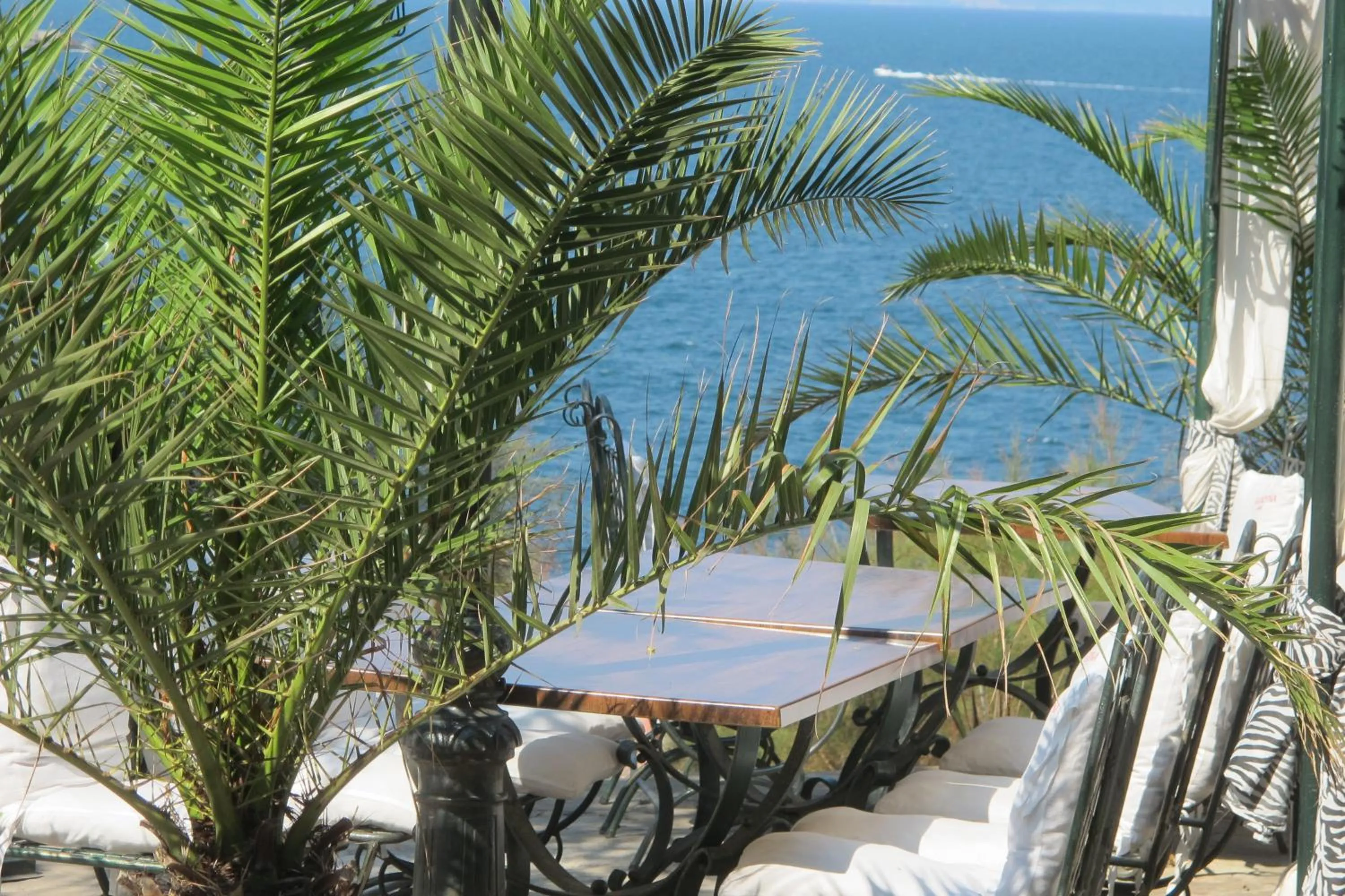 View (from property/room), Pool View in hotel DIAMANTI