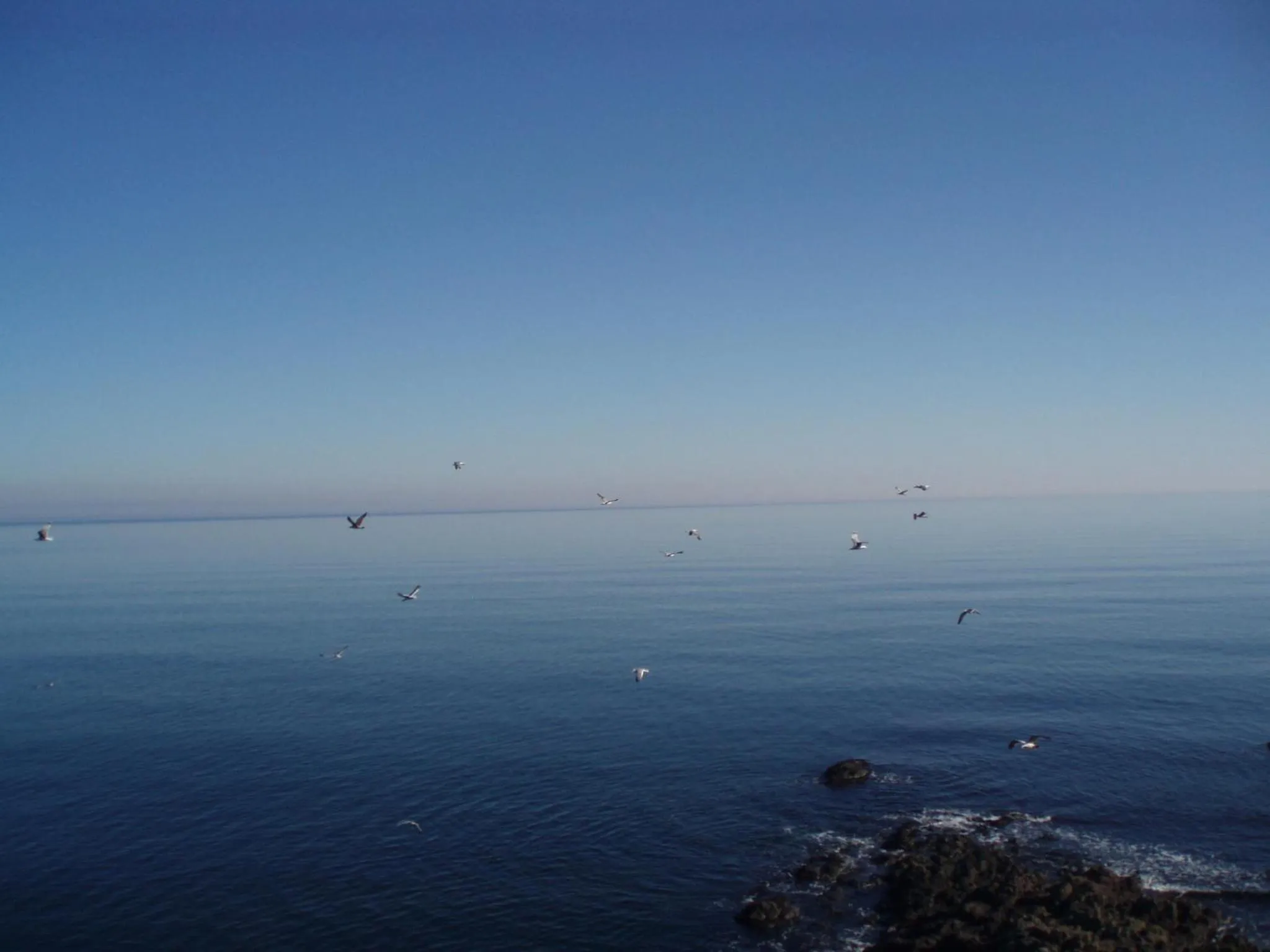 Natural landscape in hotel DIAMANTI