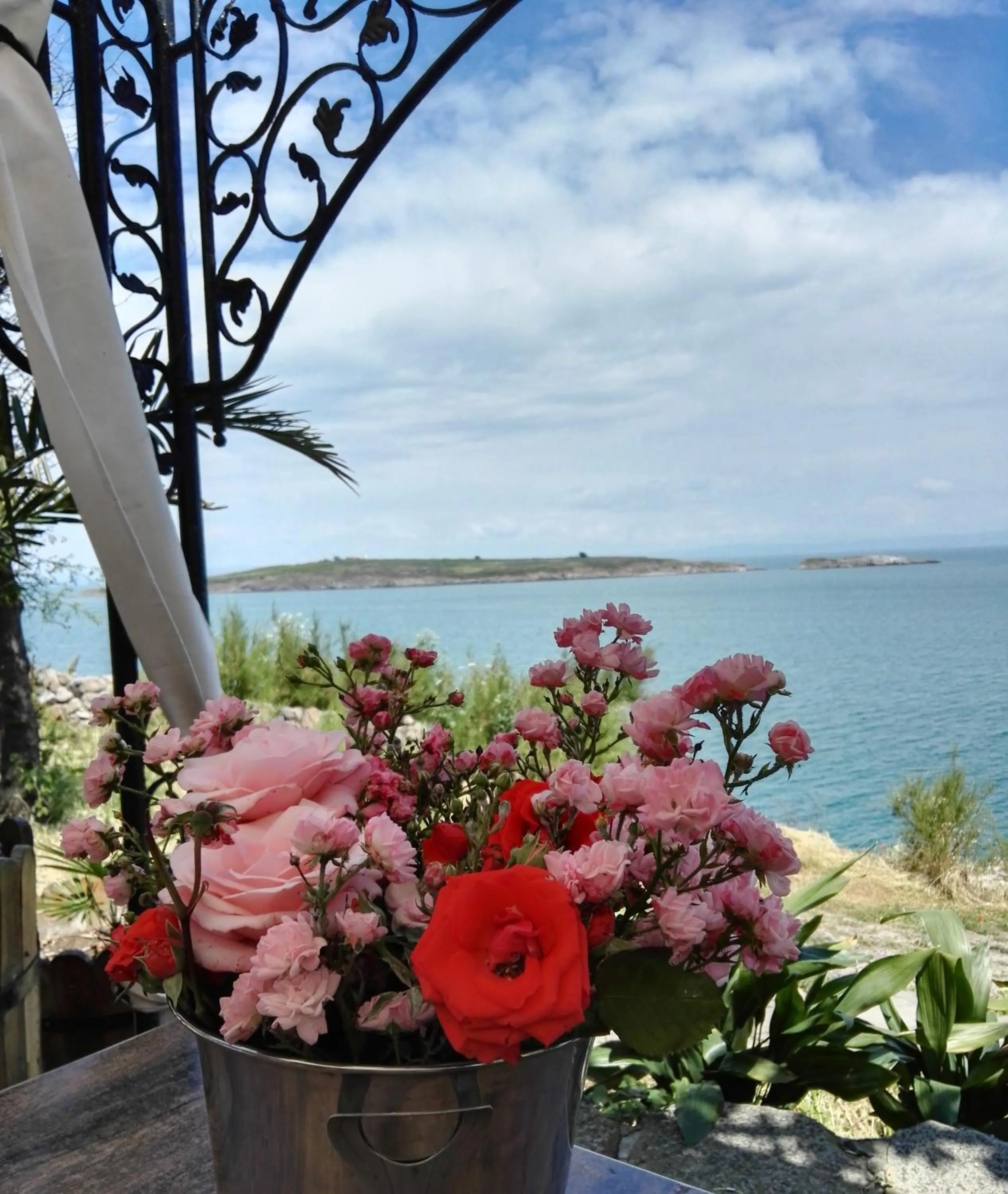 Day, Patio/Outdoor Area in hotel DIAMANTI
