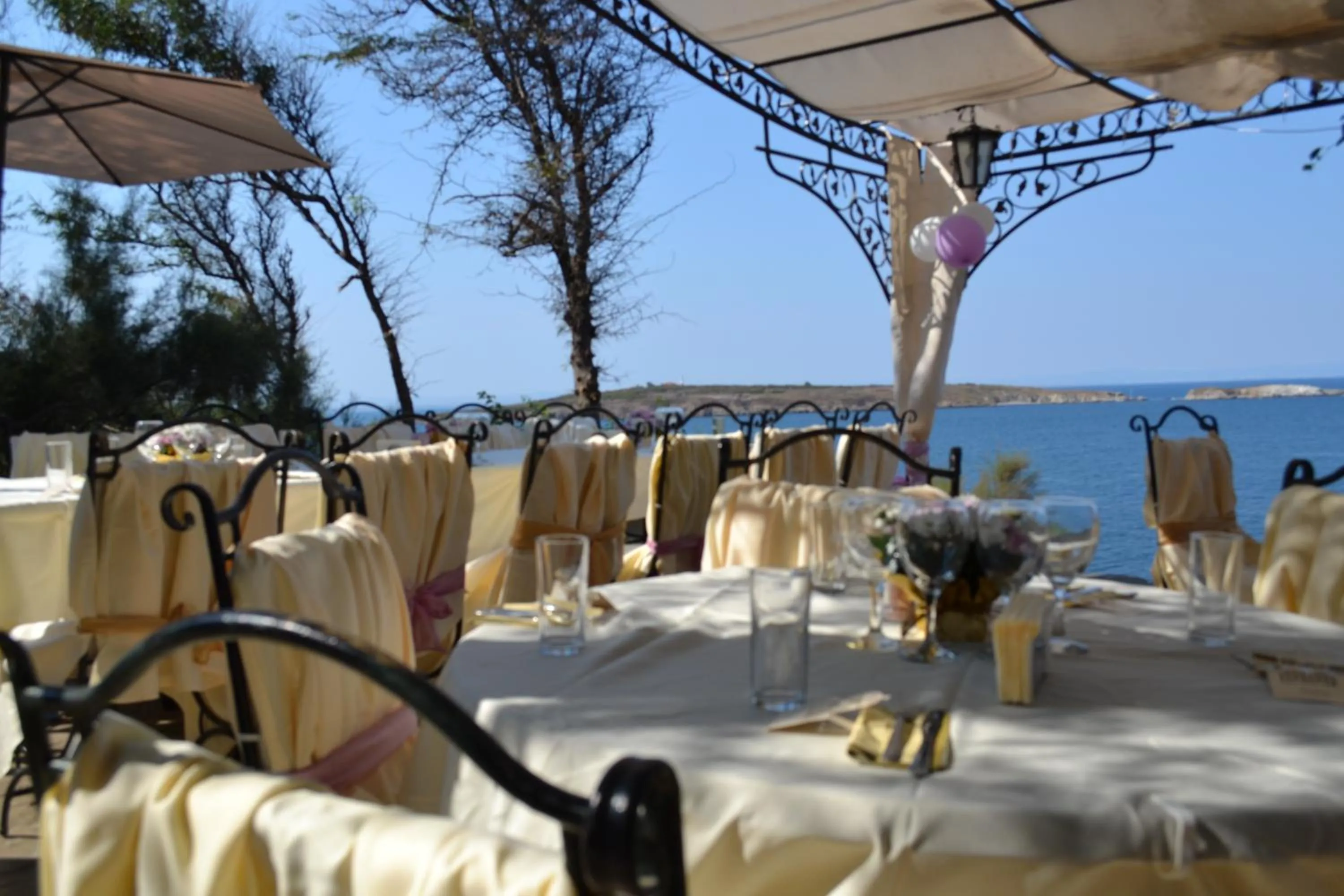 Banquet/Function facilities, Restaurant/Places to Eat in hotel DIAMANTI