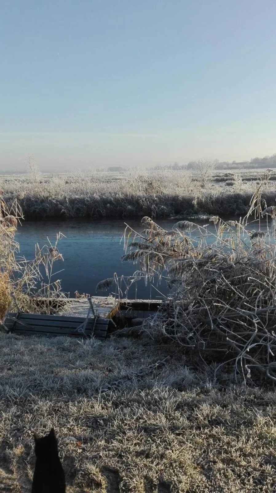 Natural landscape in Kleine Buurt aan de Weide