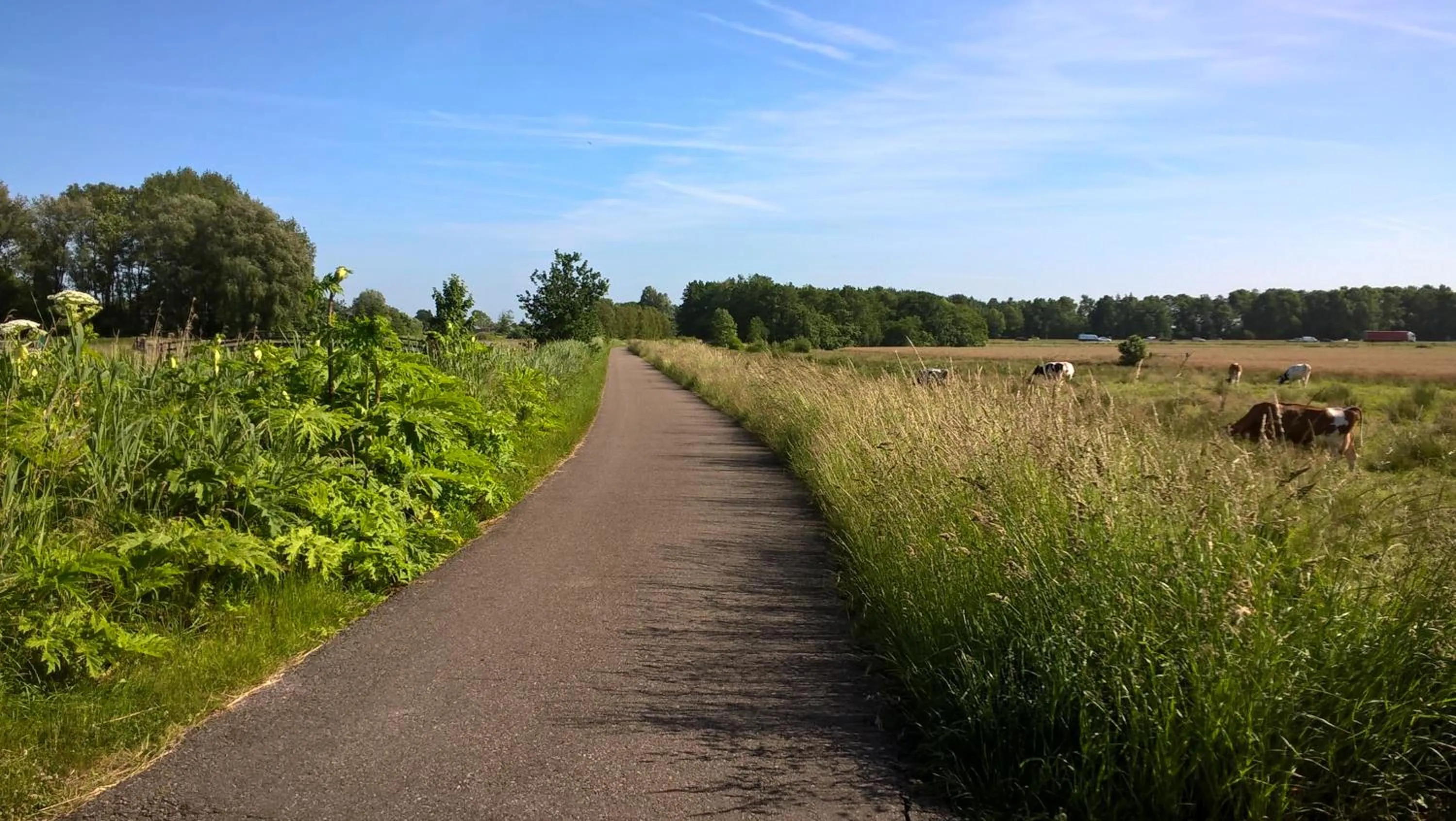 Spring in Kleine Buurt aan de Weide