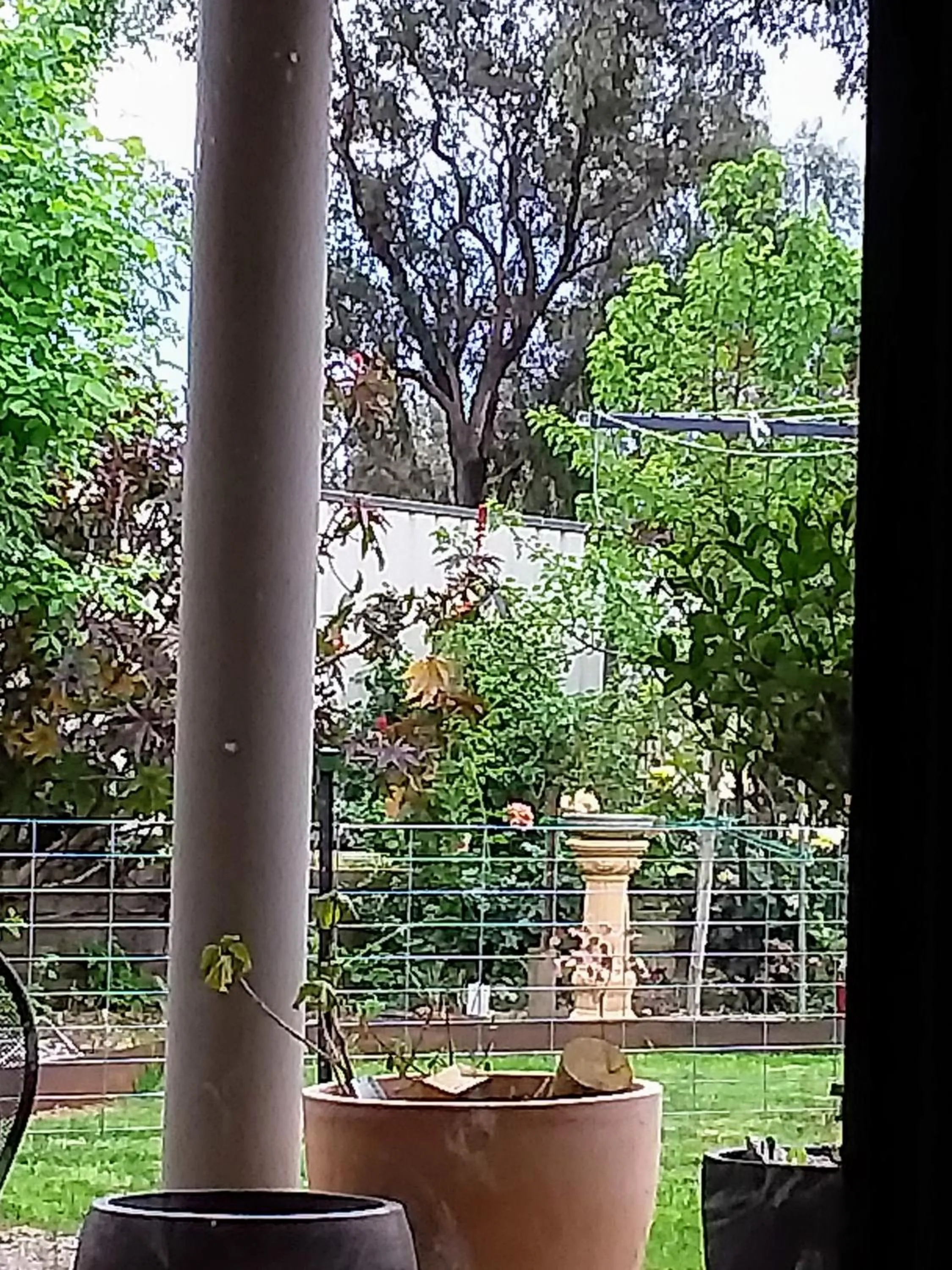 Garden view in Barklysuites Apartments