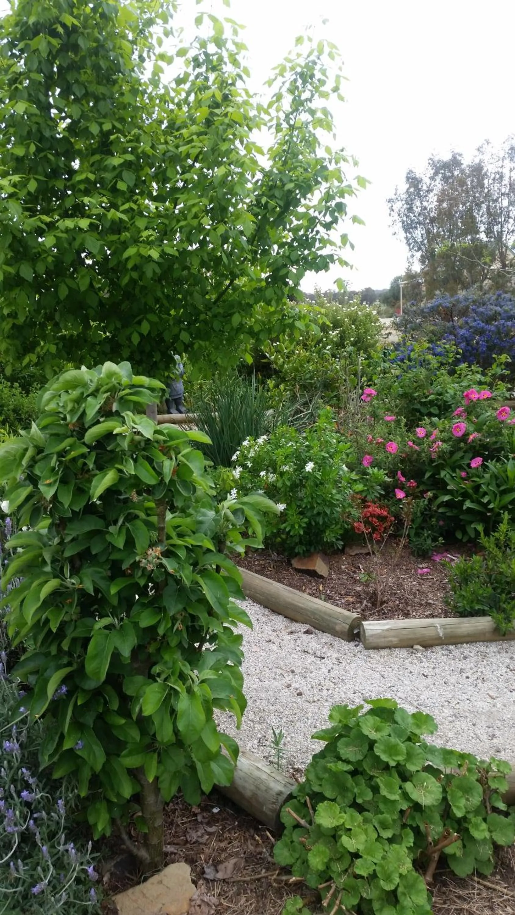 Garden in Barklysuites Apartments