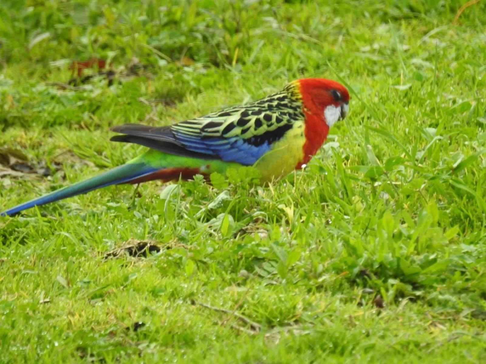 Other in Barklysuites Apartments