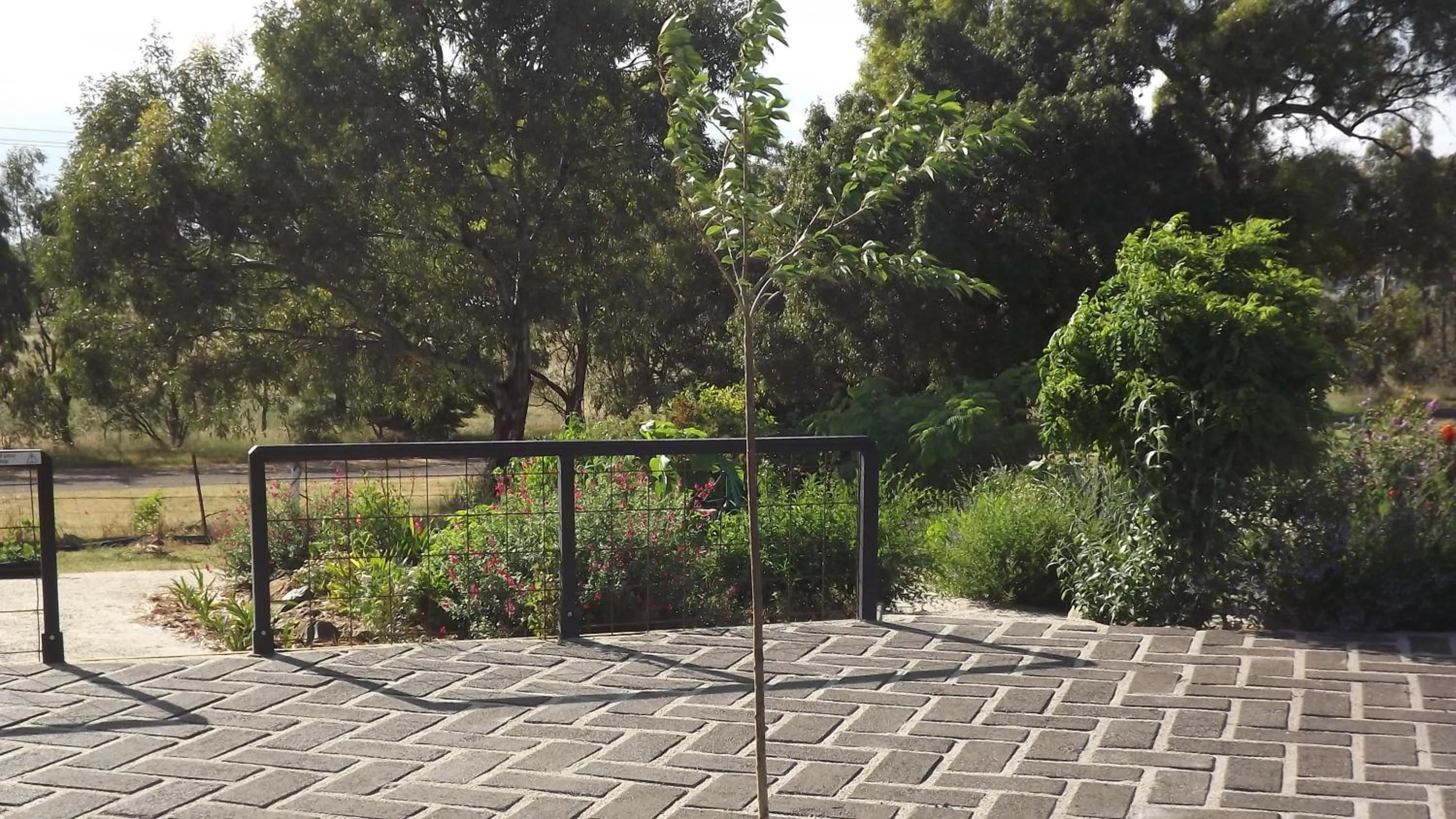 Property building in Barklysuites Apartments